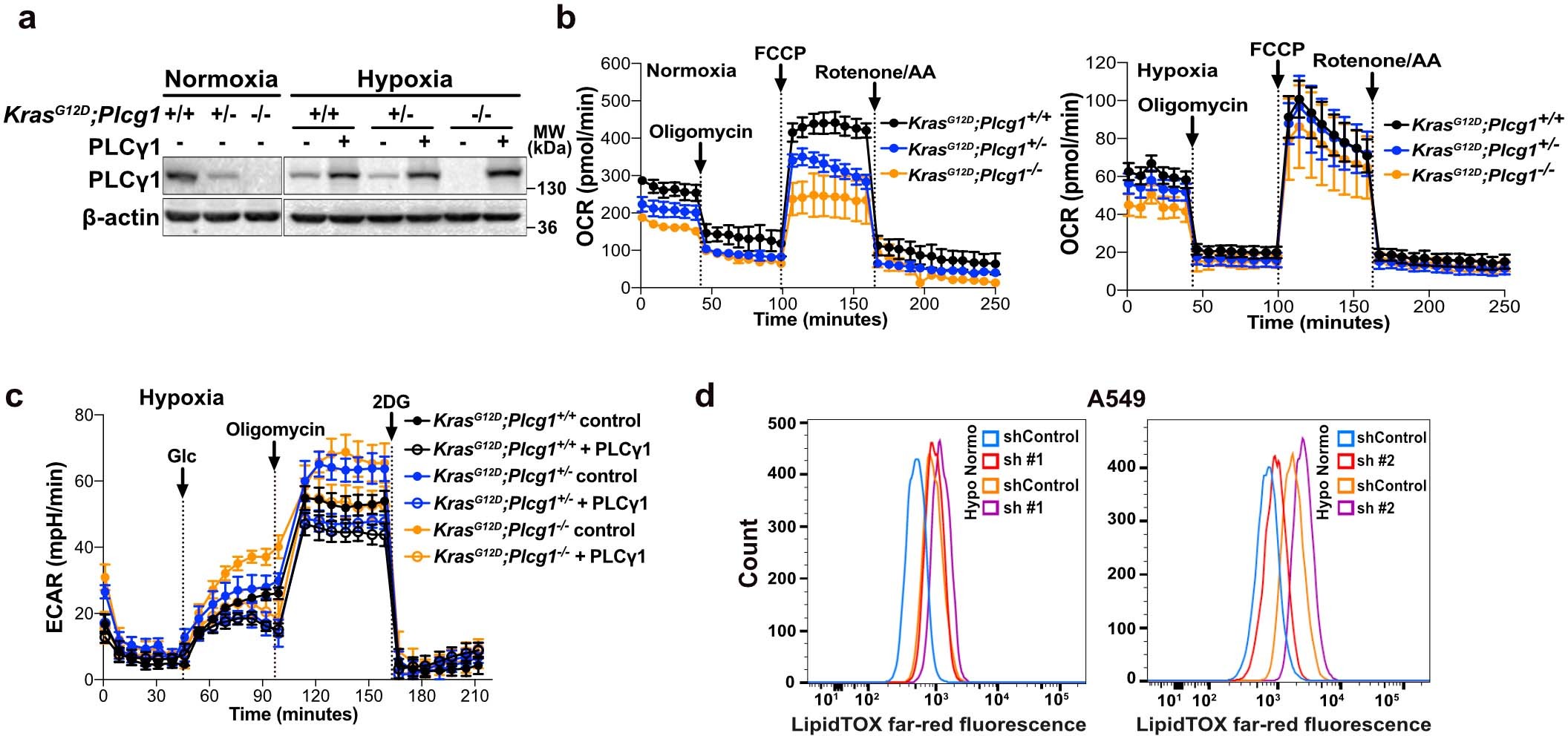 Extended Data Fig. 5