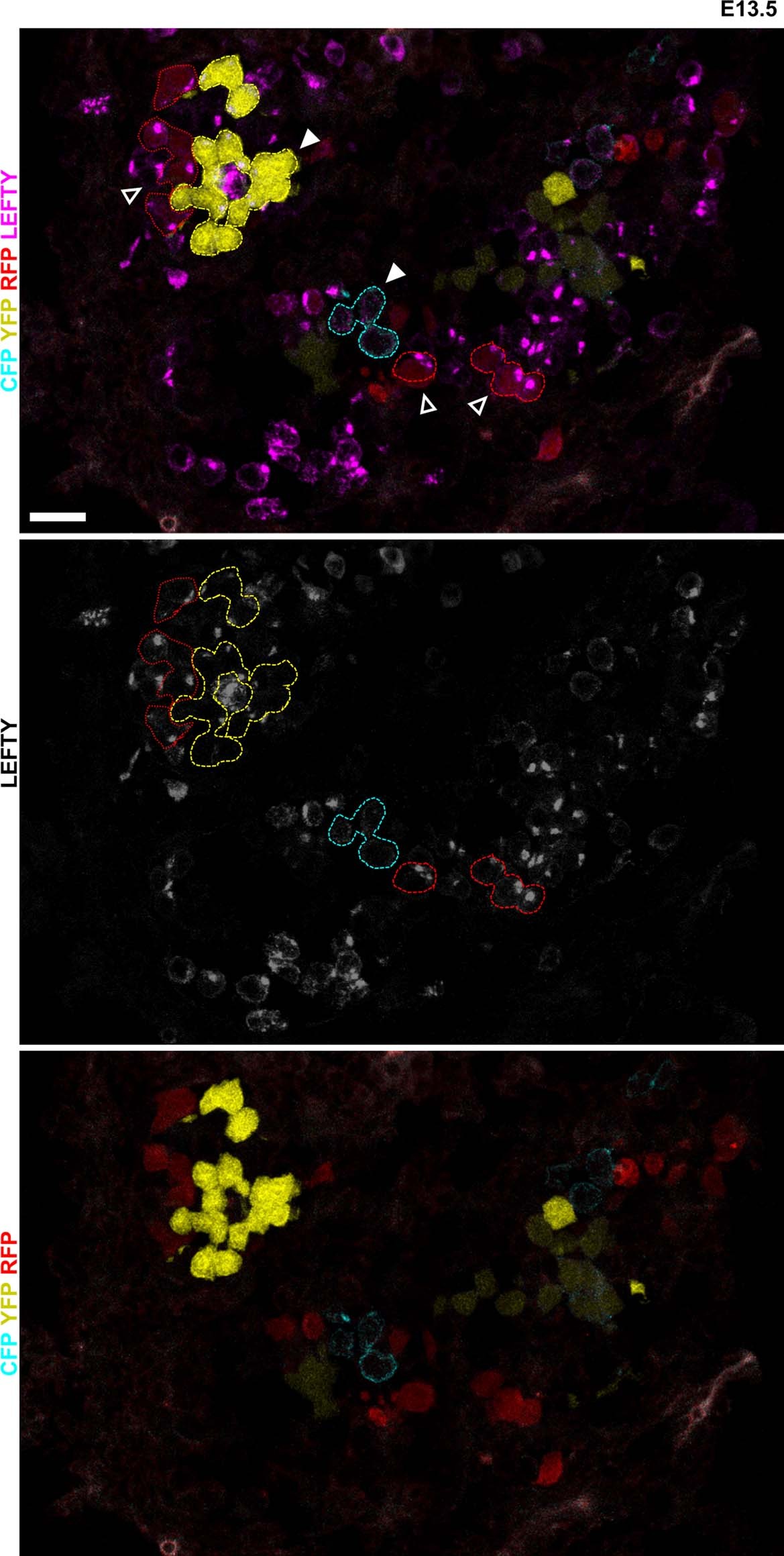 Extended Data Fig. 8