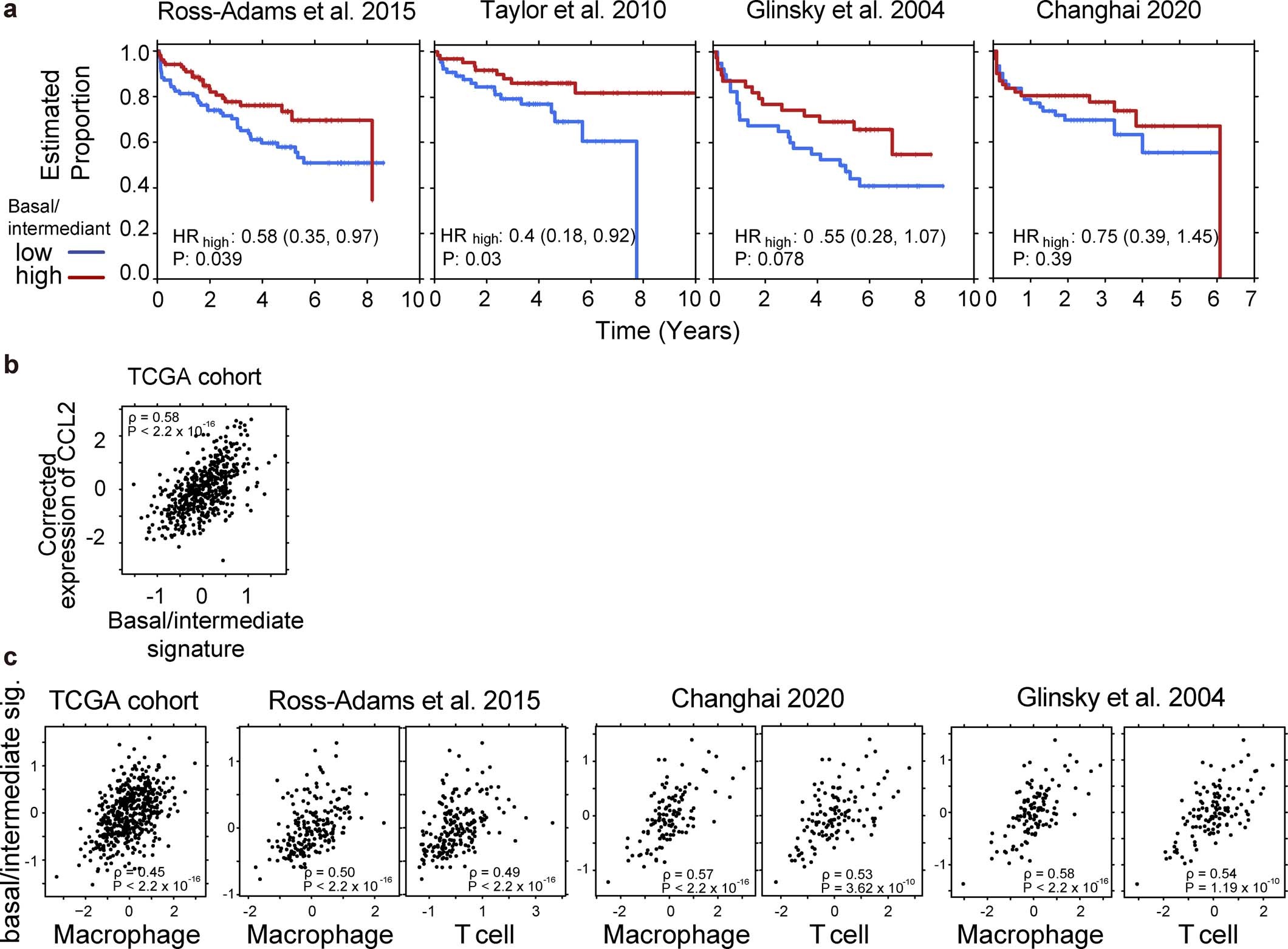 Extended Data Fig. 4: Characterizing the basal/intermediate signature.