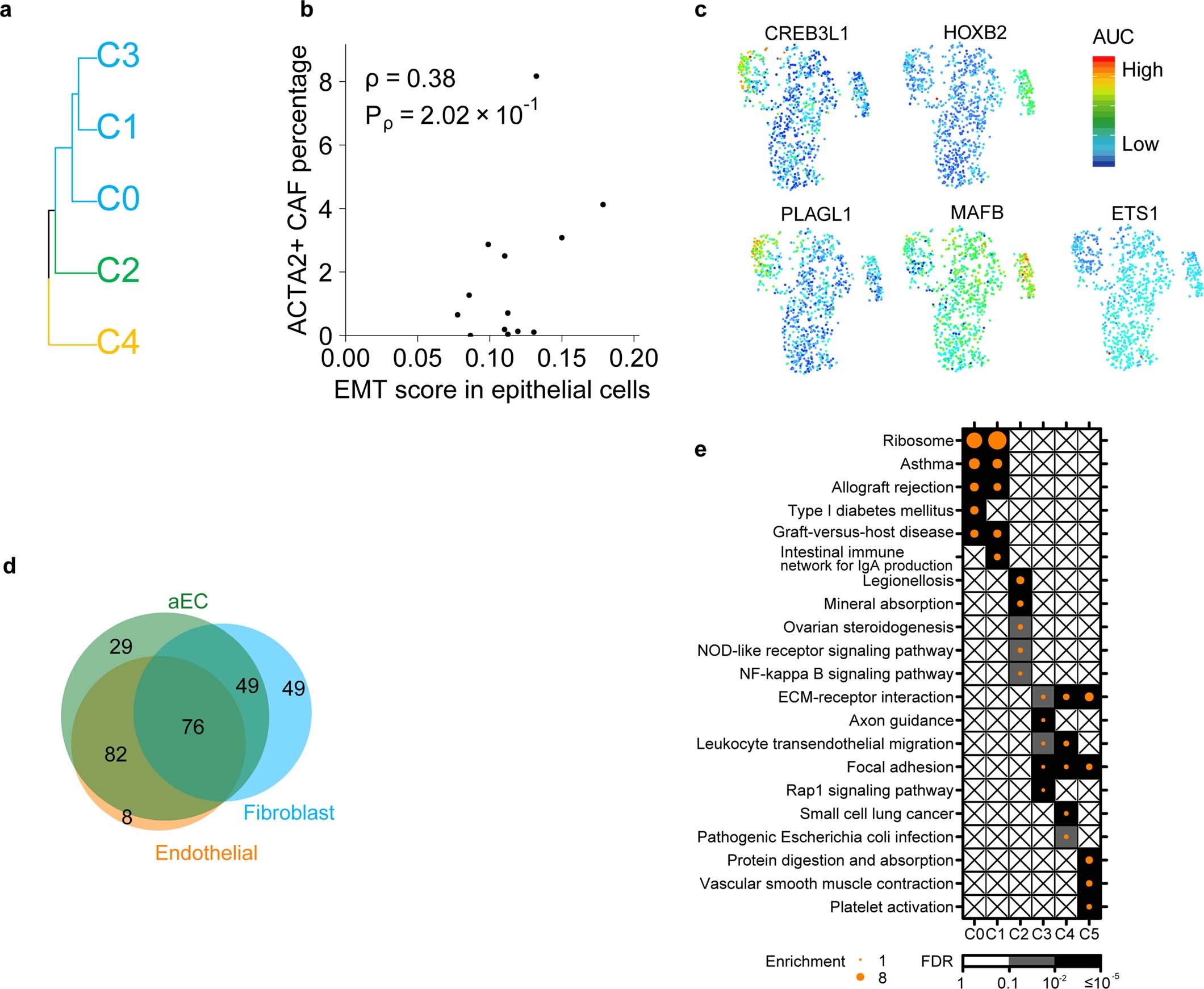Extended Data Fig. 7: Single cell characterization of stromal components.
