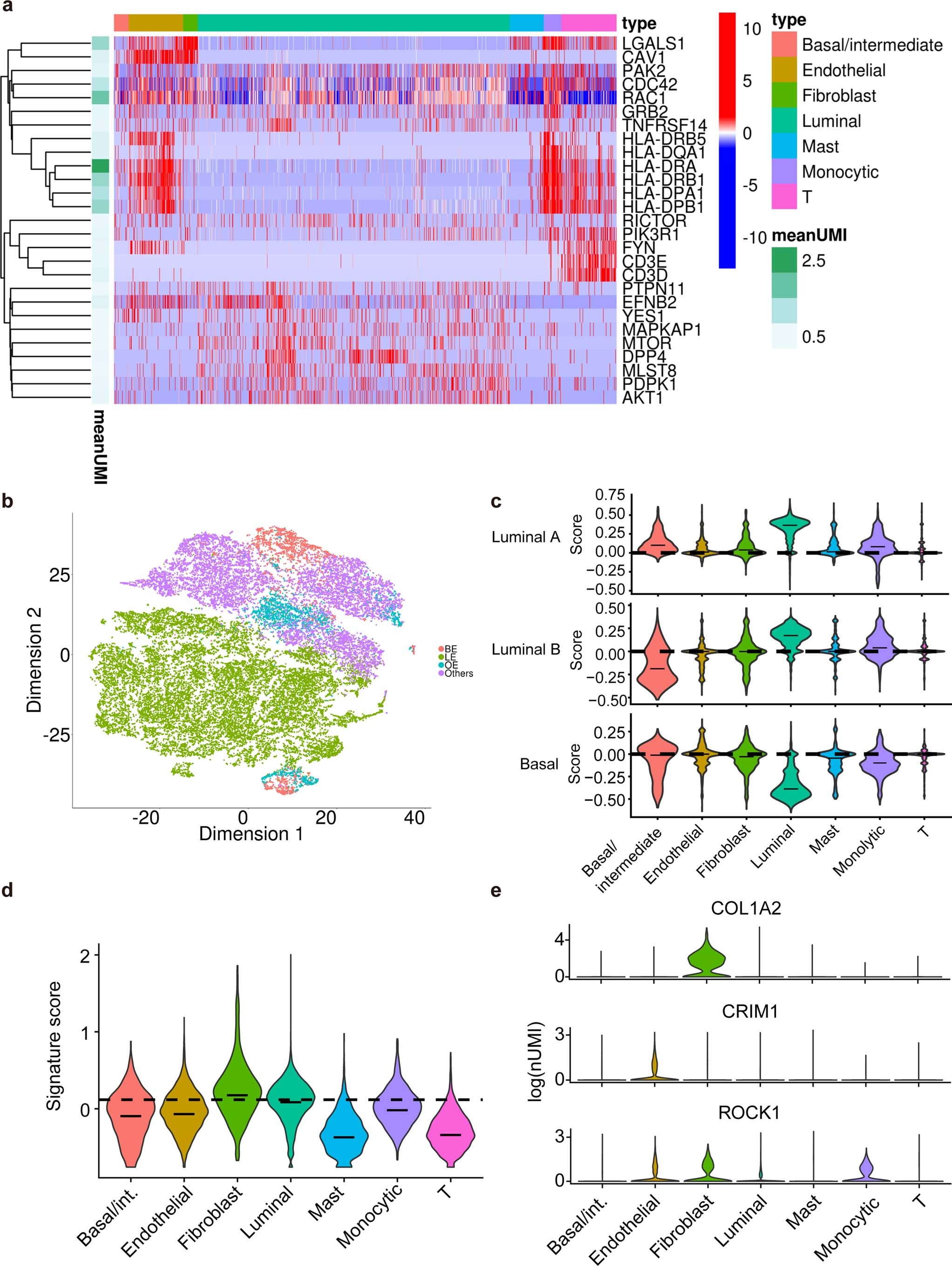 Extended Data Fig. 2: Gene expression and signature analysis for different cell types.