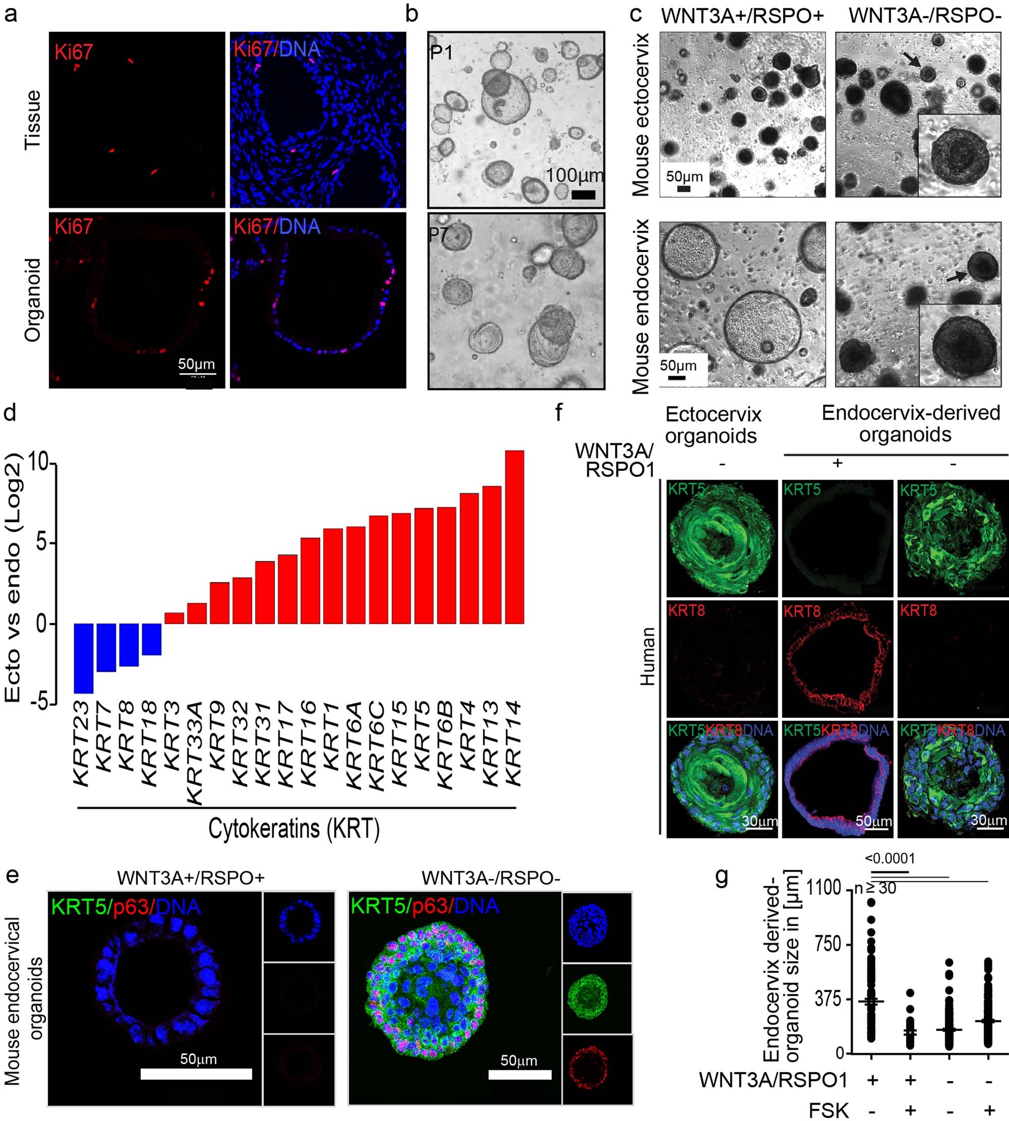 Extended Data Fig. 4