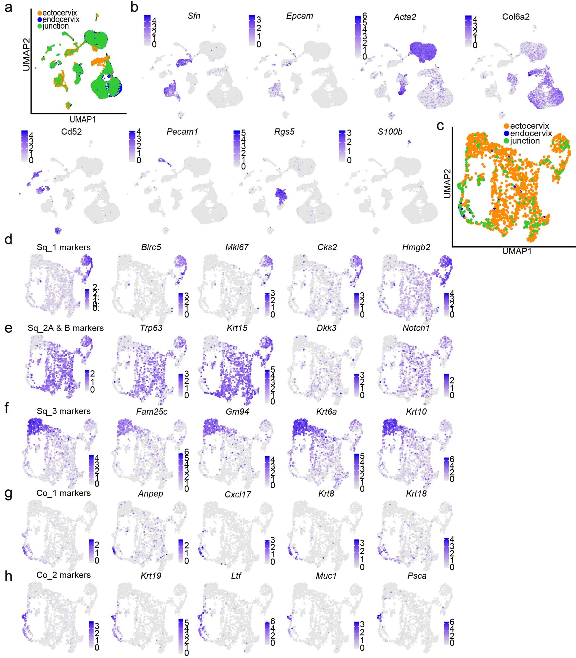 Extended Data Fig. 1