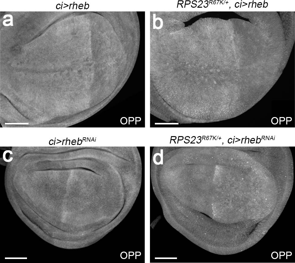 Extended Data Fig. 3