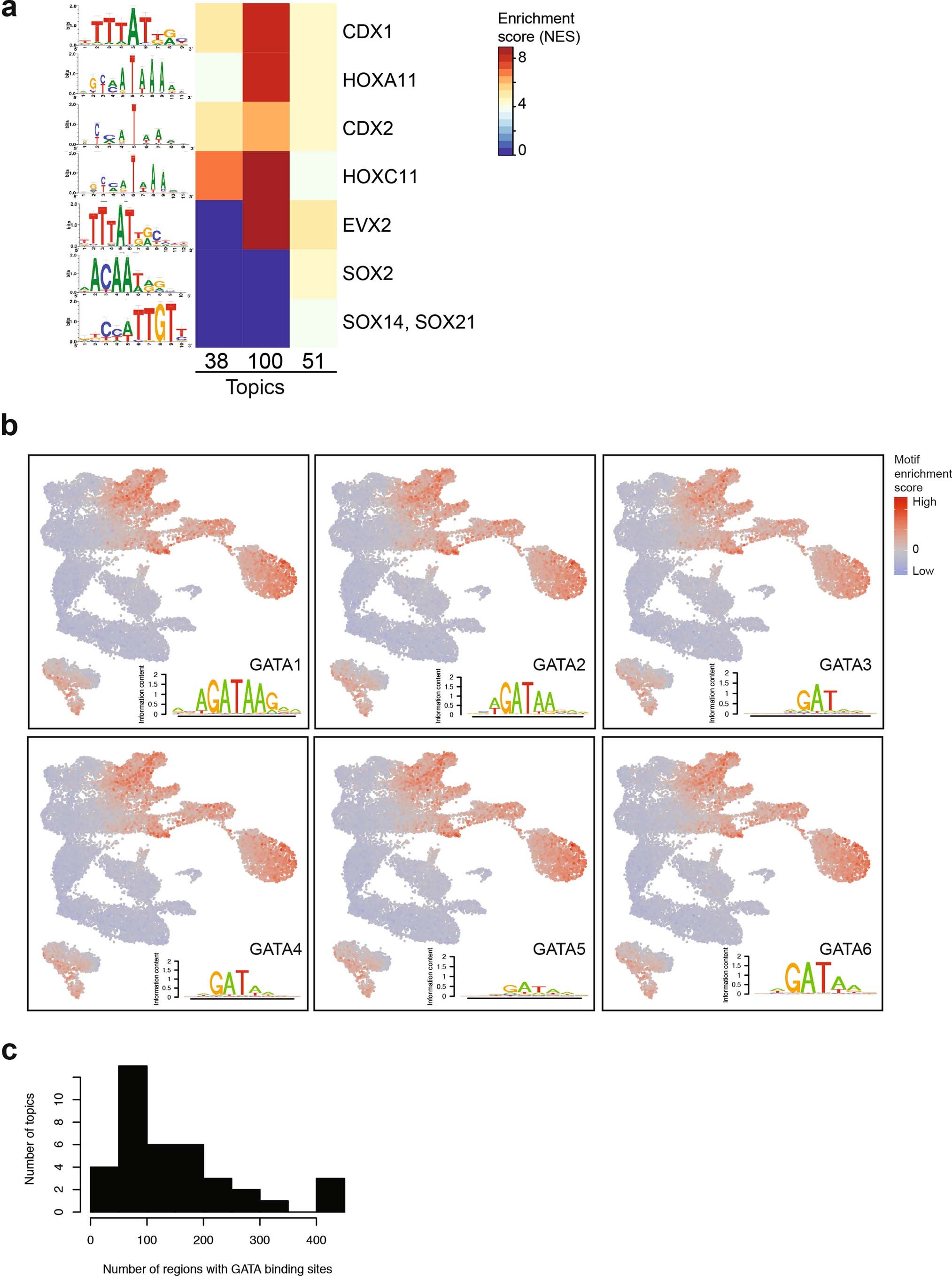 Extended Data Fig. 3: Transcription factor motif enrichment analyses.
