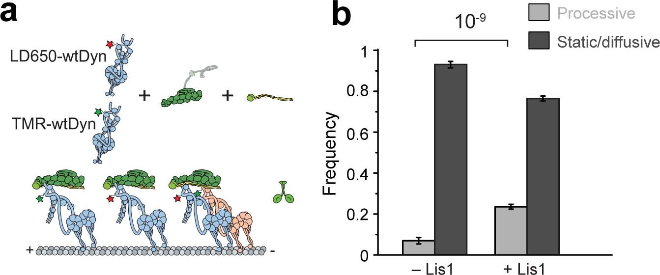 Extended Data Fig. 7