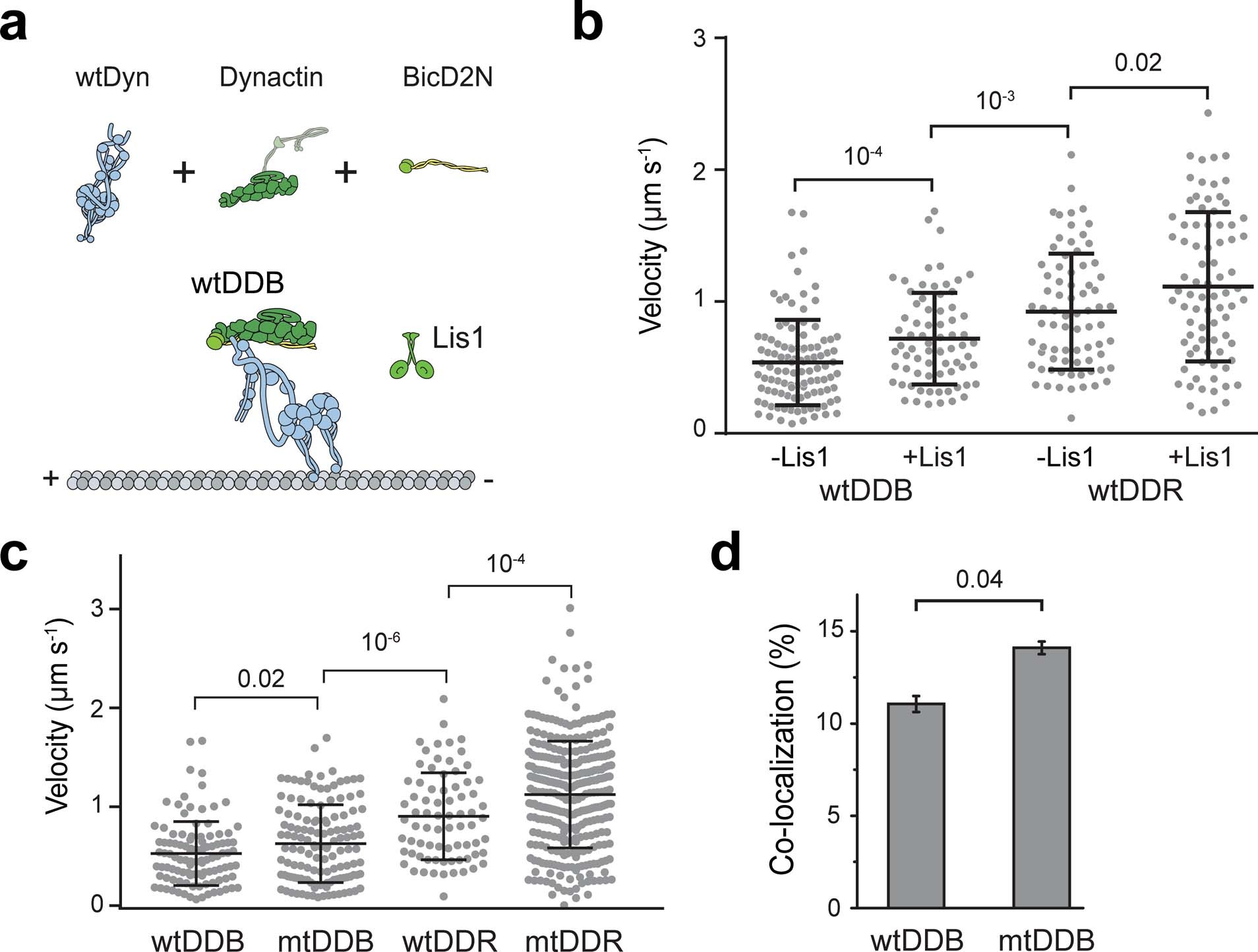 Extended Data Fig. 1