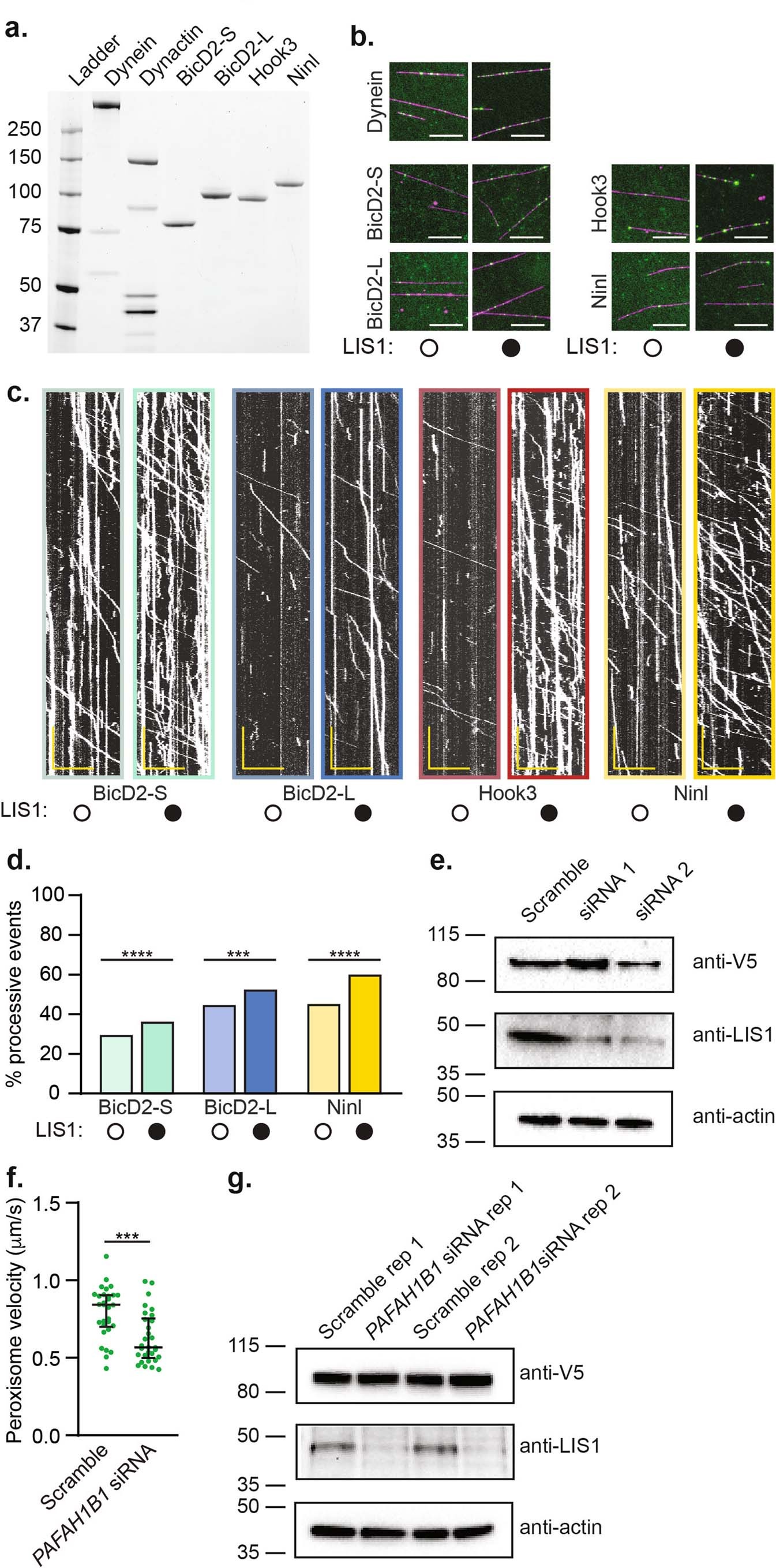 Extended Data Fig. 1
