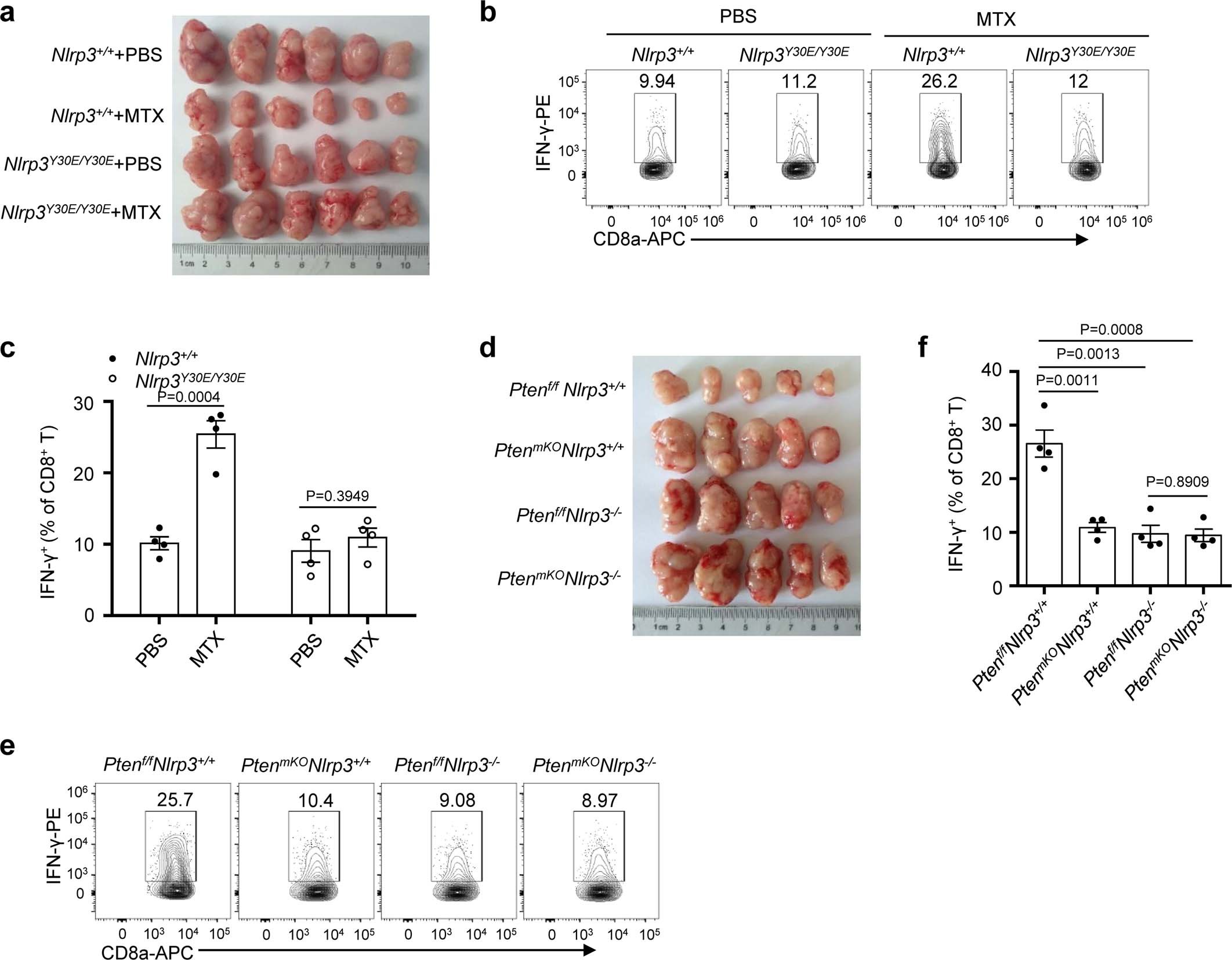 Extended Data Fig. 7: Myeloid PTEN determines chemotherapy-induced antitumor immunity through activating NLRP3 inflammasome.