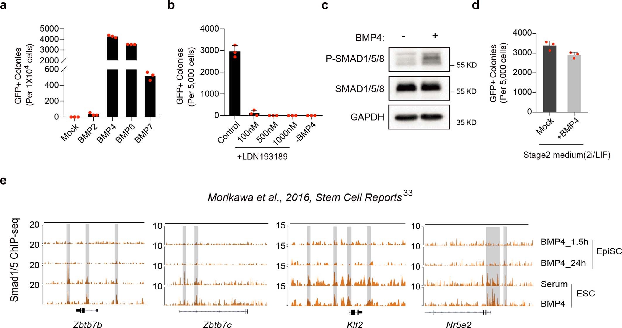 Extended Data Fig. 6