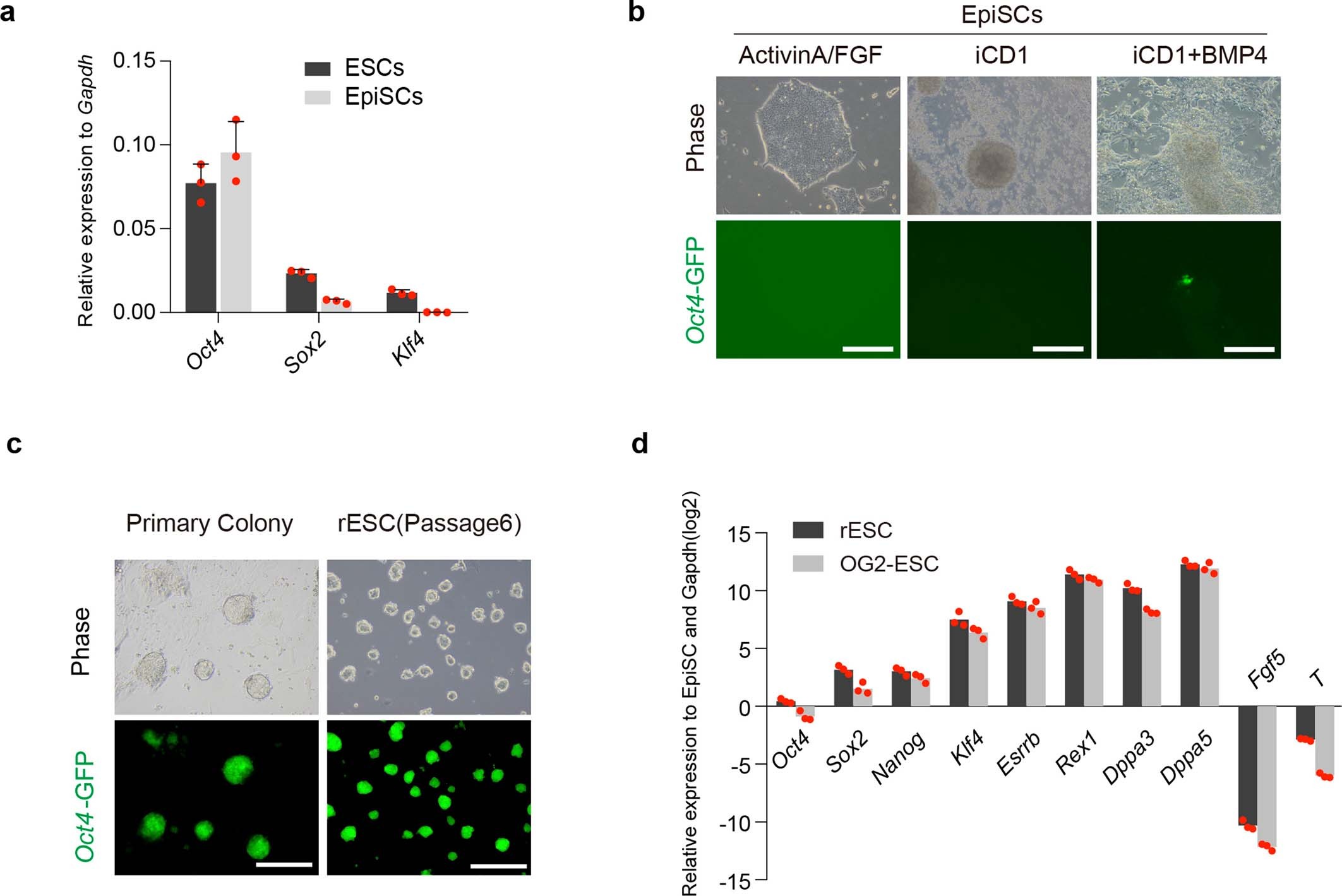 Extended Data Fig. 1: BMP4 induces mouse primed-to-naive transition (PNT).