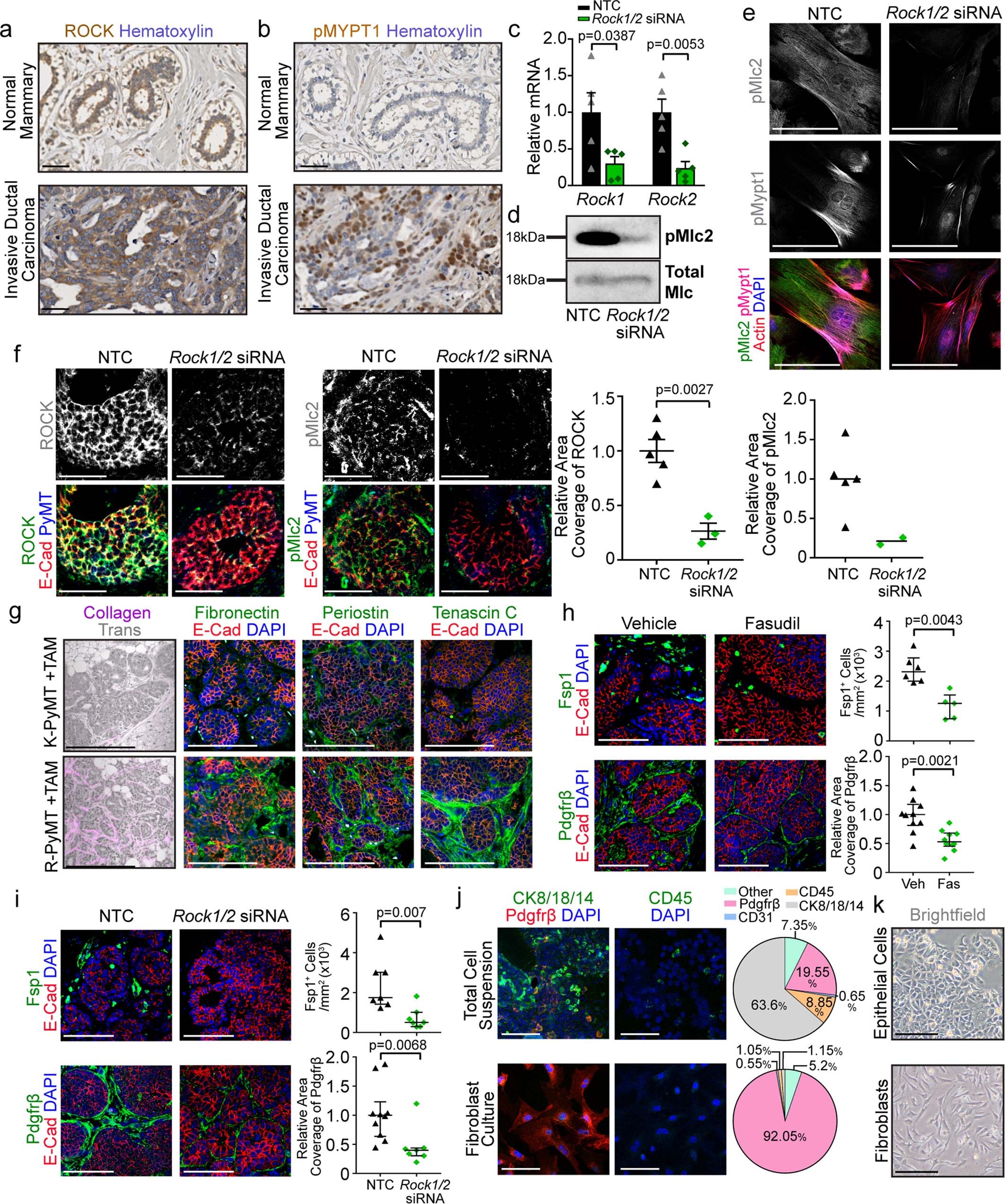 Extended Data Fig. 1