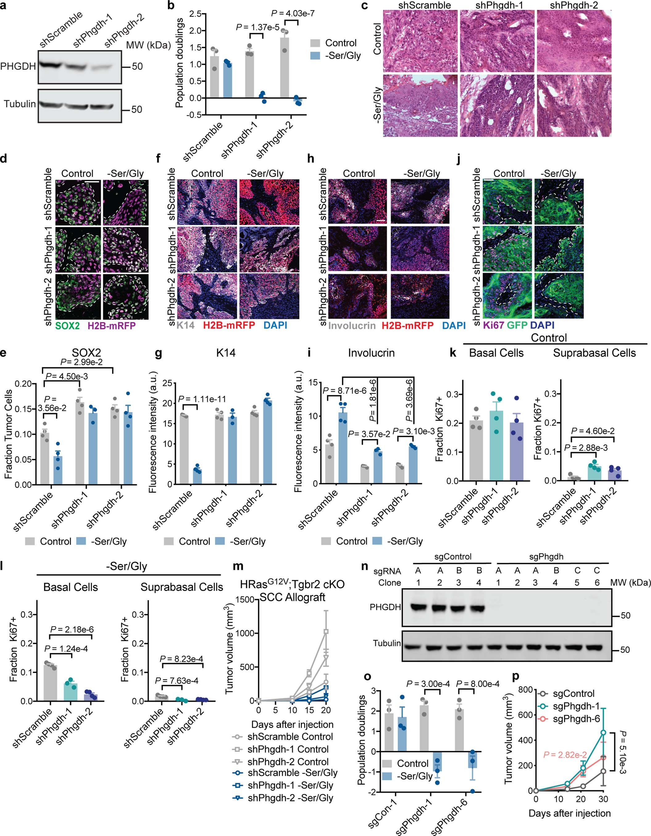 Extended Data Fig. 9