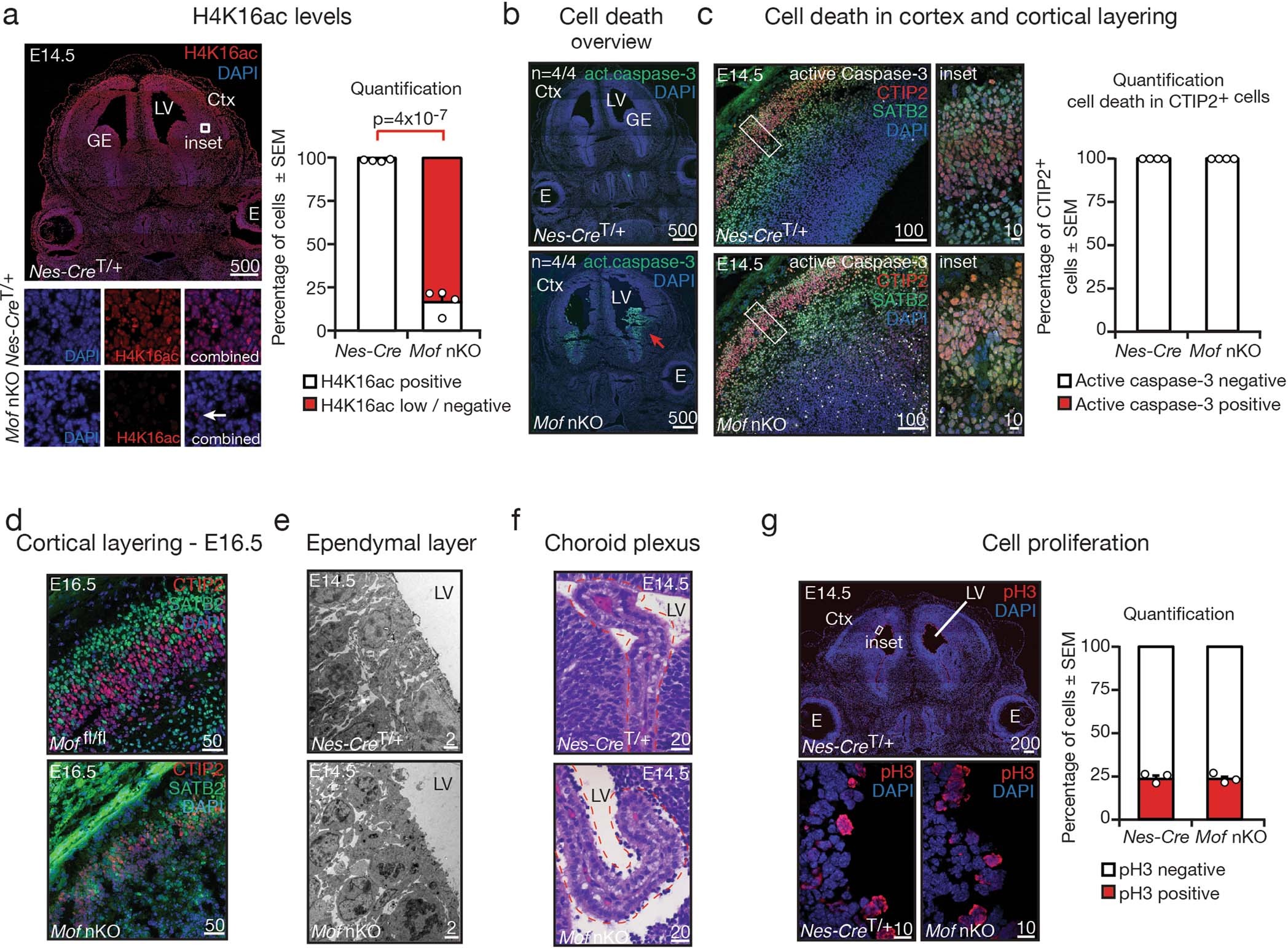 Extended Data Fig. 2