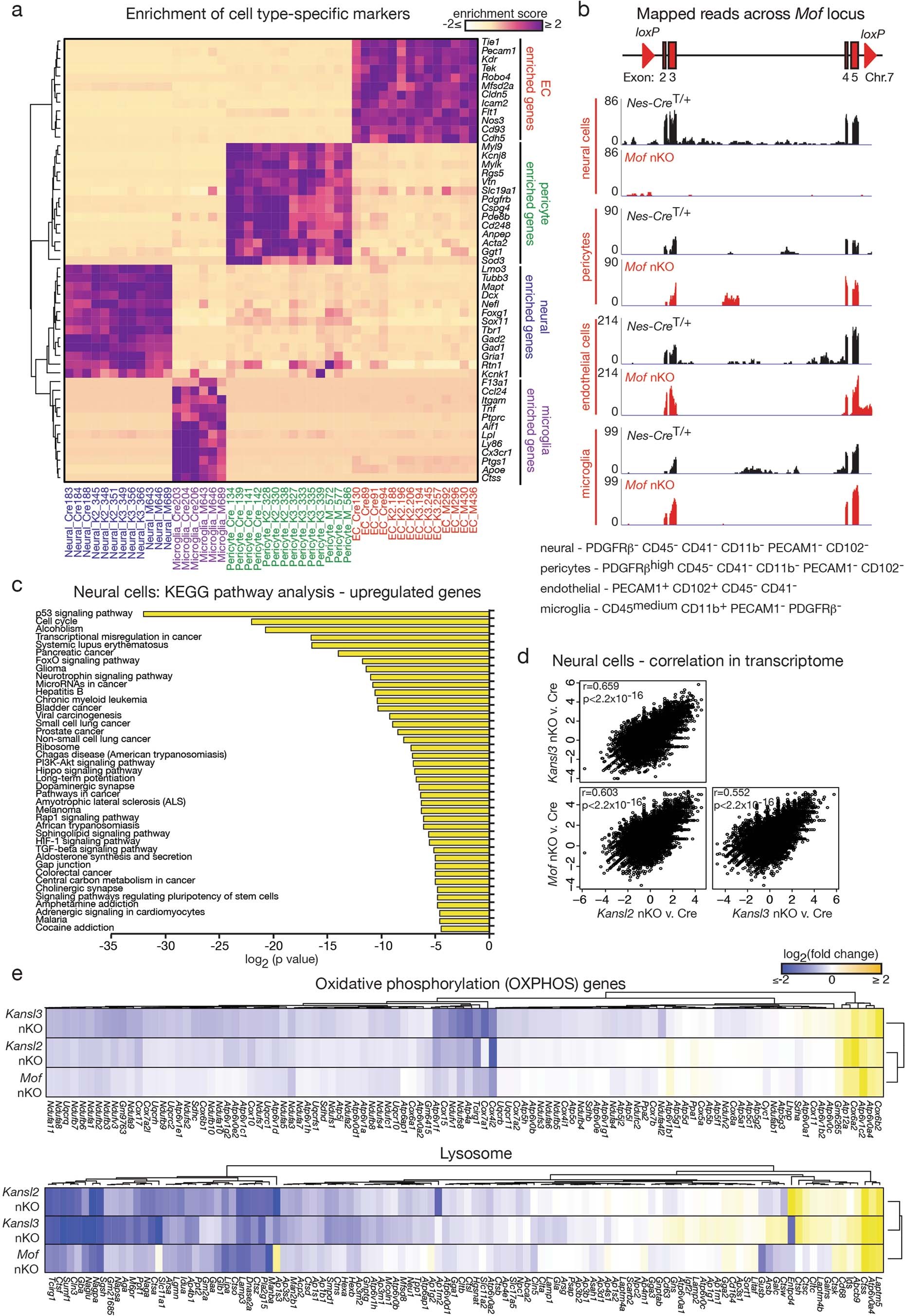 Extended Data Fig. 4