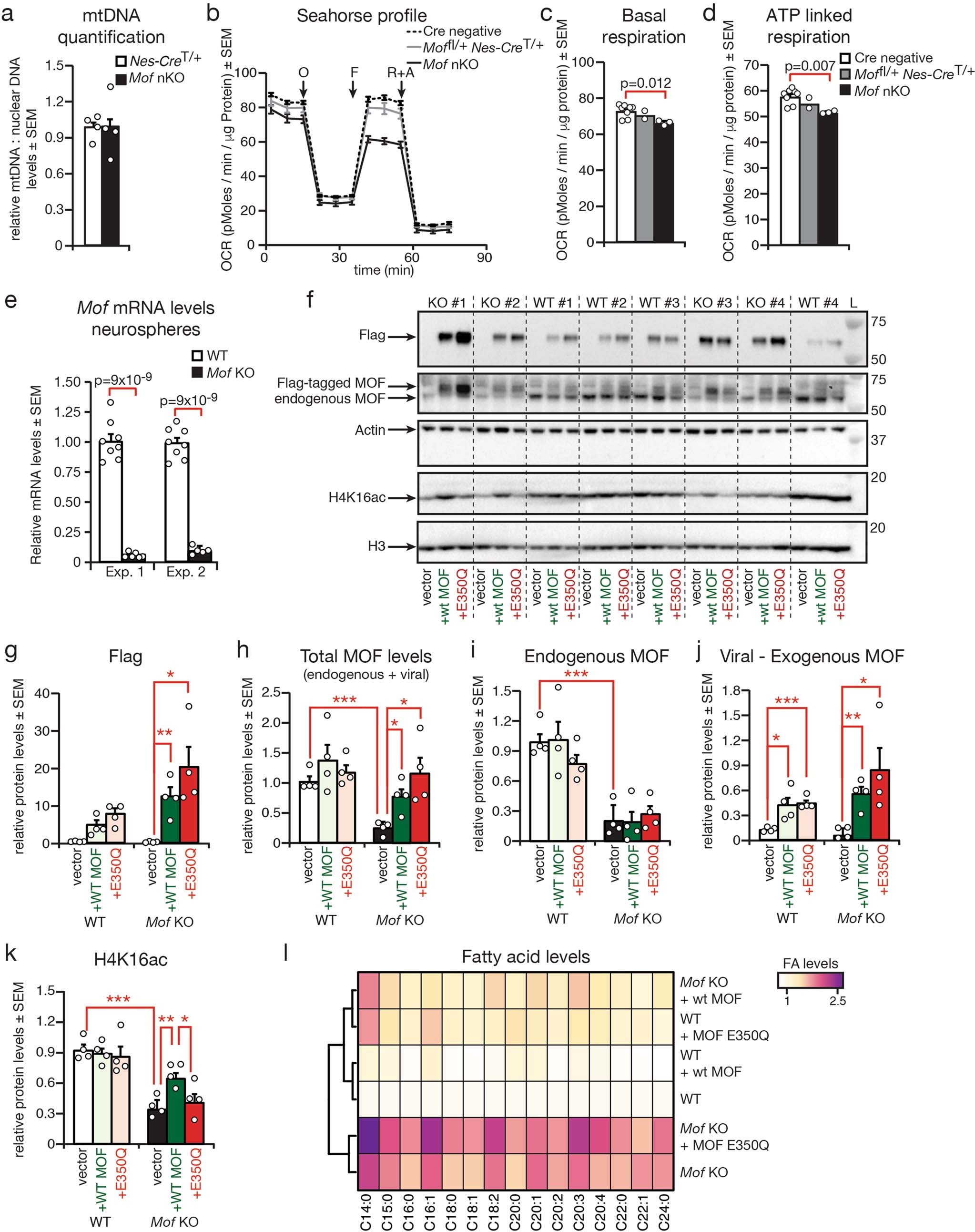 Extended Data Fig. 5