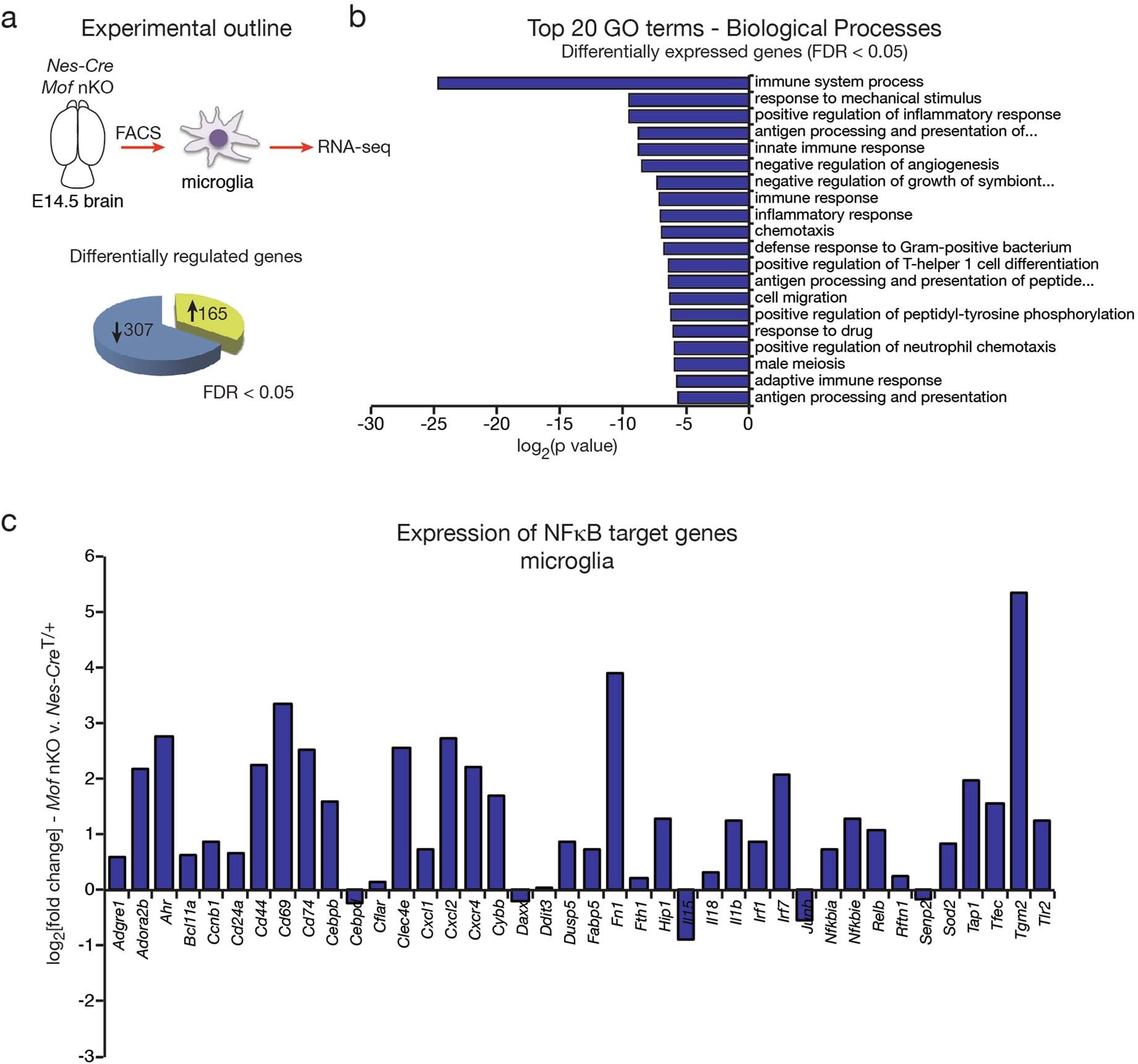 Extended Data Fig. 8