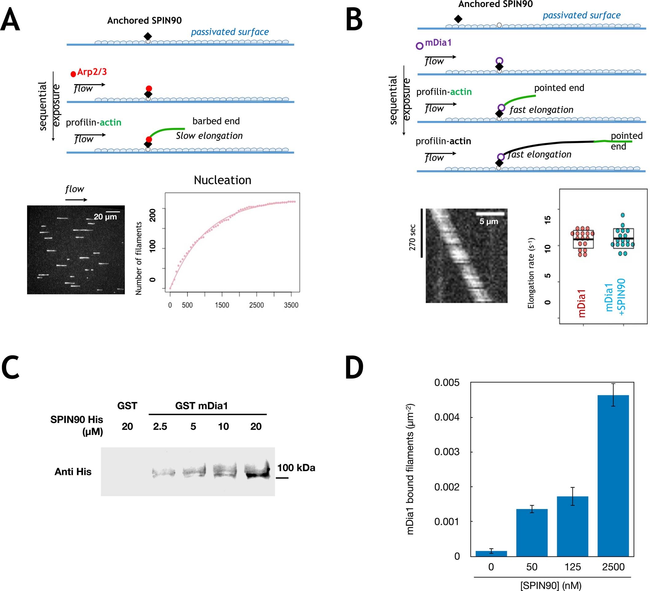 Extended Data Fig. 4