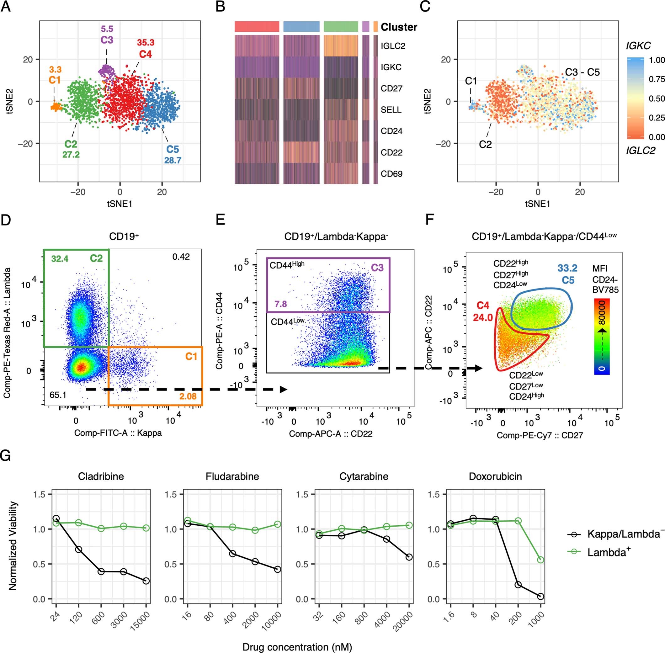 Extended Data Fig. 6: Dissecting four distinct subpopulations of malignant B cells in FL4 sample by means of scRNA-seq-informed flow cytometry.
