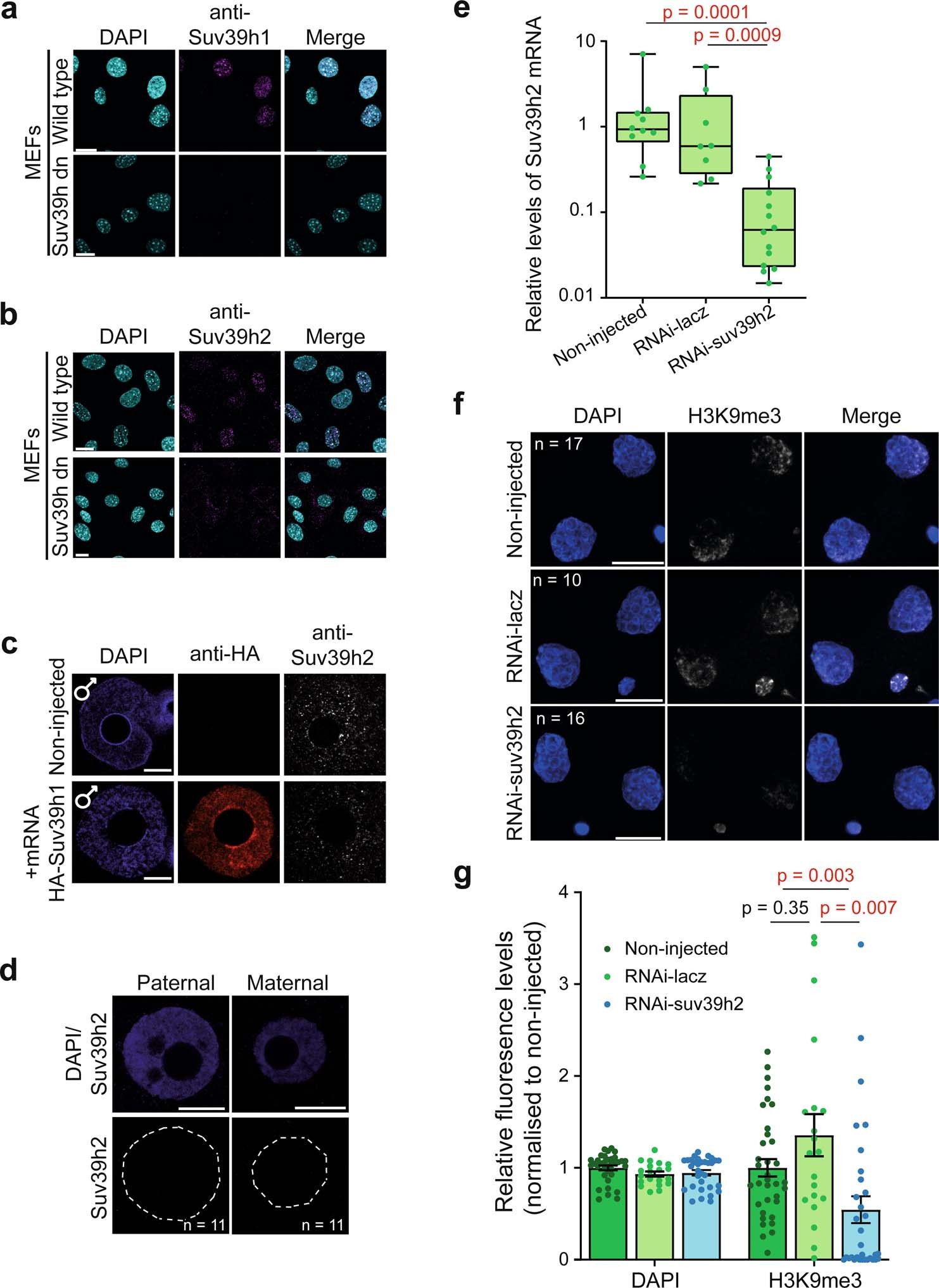 Extended Data Fig. 1