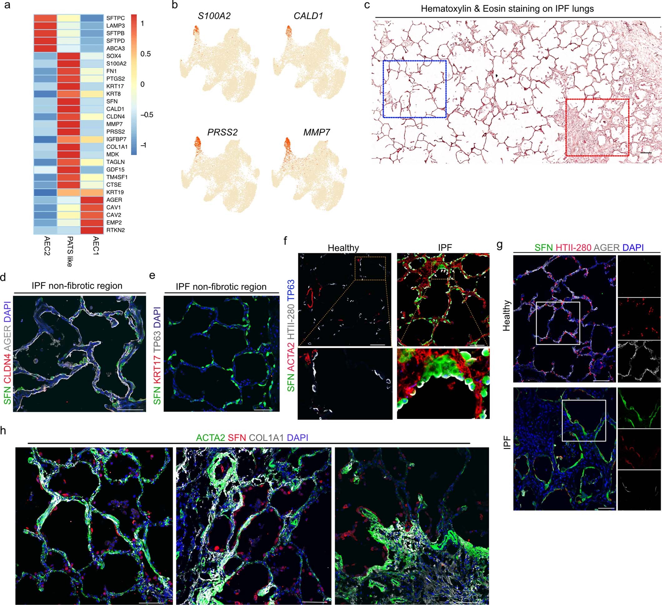 Extended Data Fig. 8
