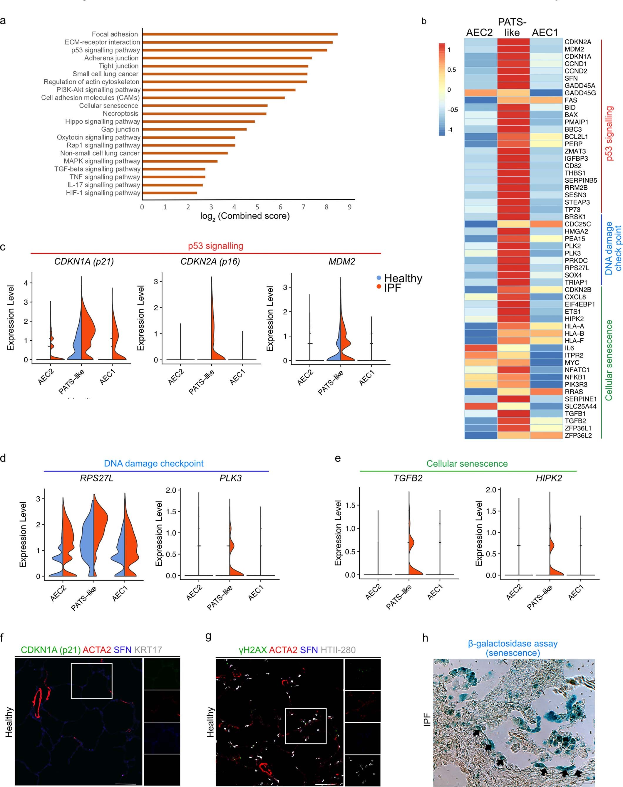 Extended Data Fig. 9