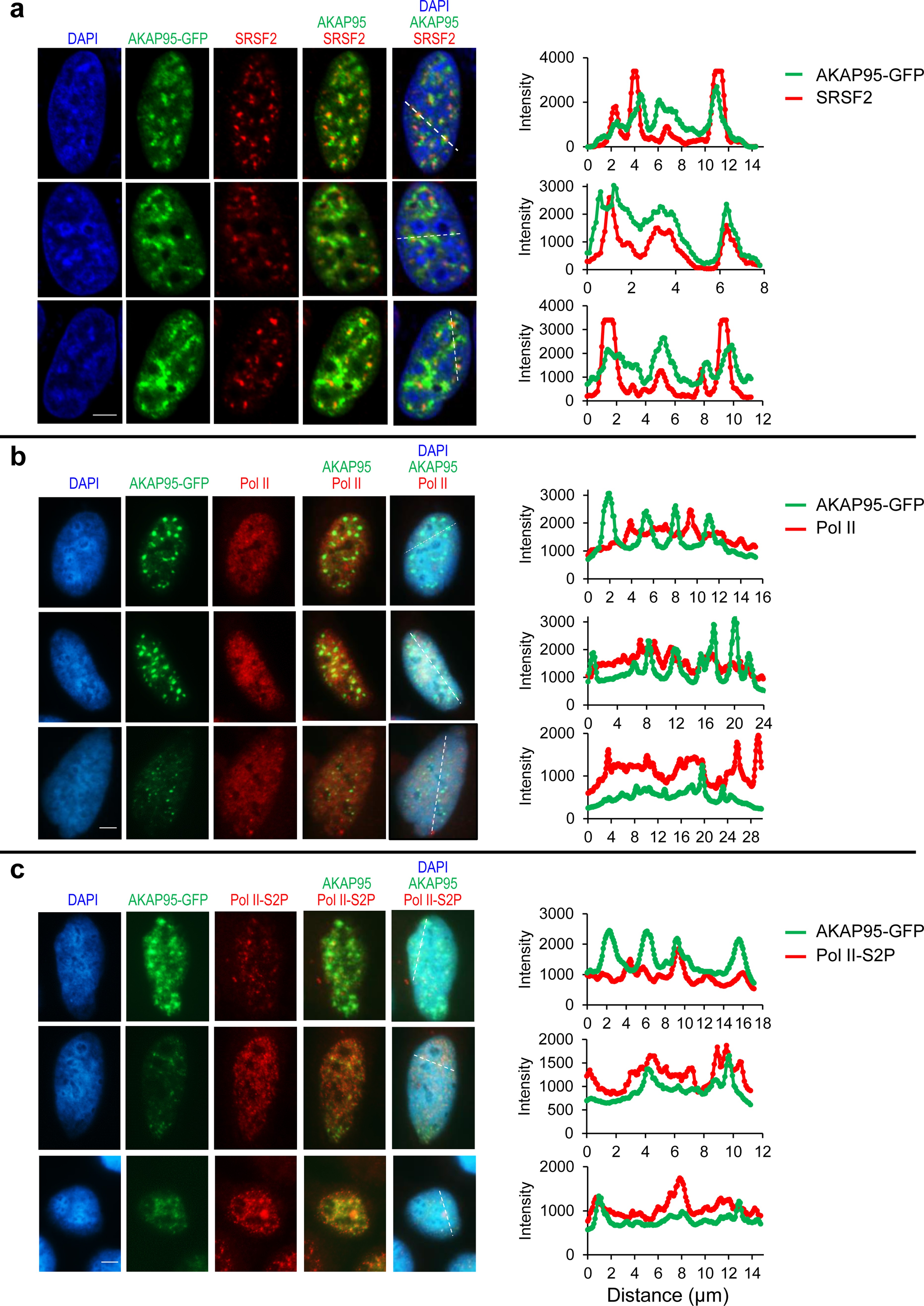 Extended Data Fig. 5