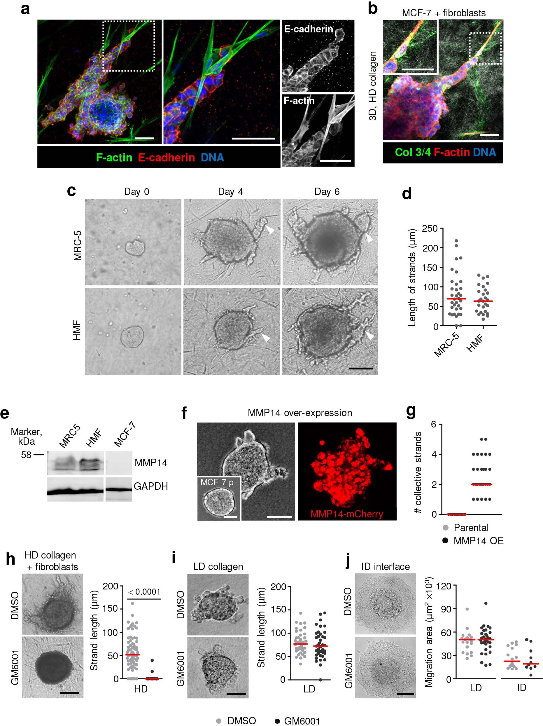 Extended Data Fig. 3