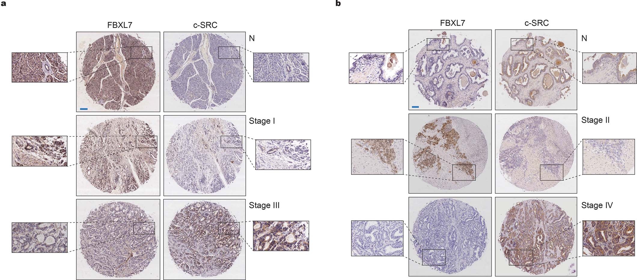 Extended Data Fig. 5