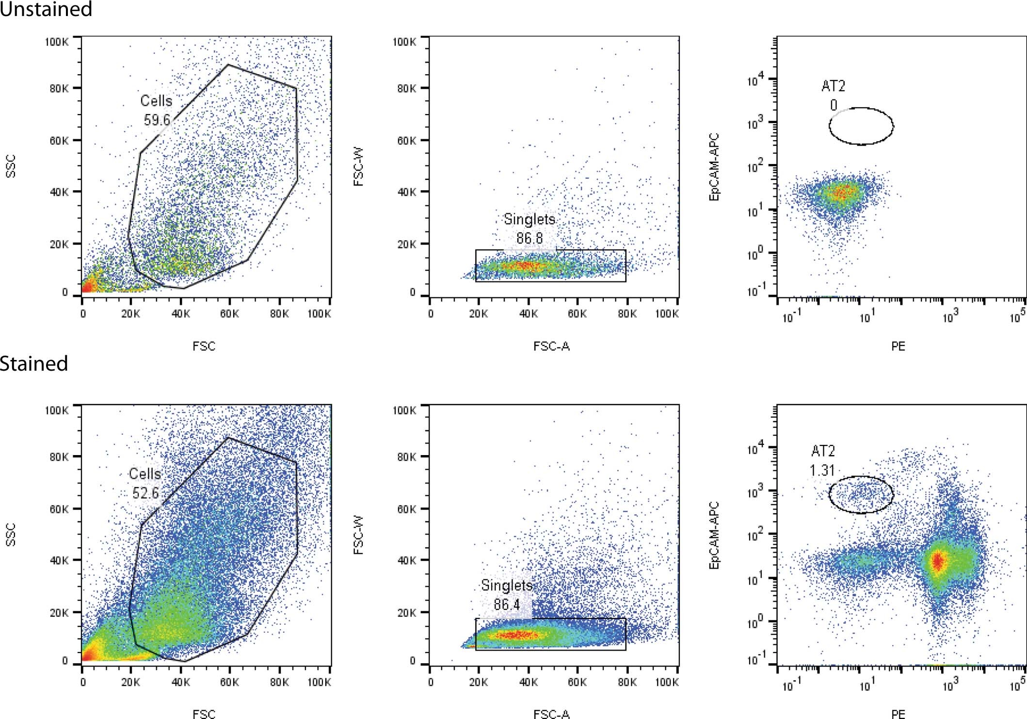 Extended Data Fig. 1: Sorting Strategies for Isolating AT2 cells.