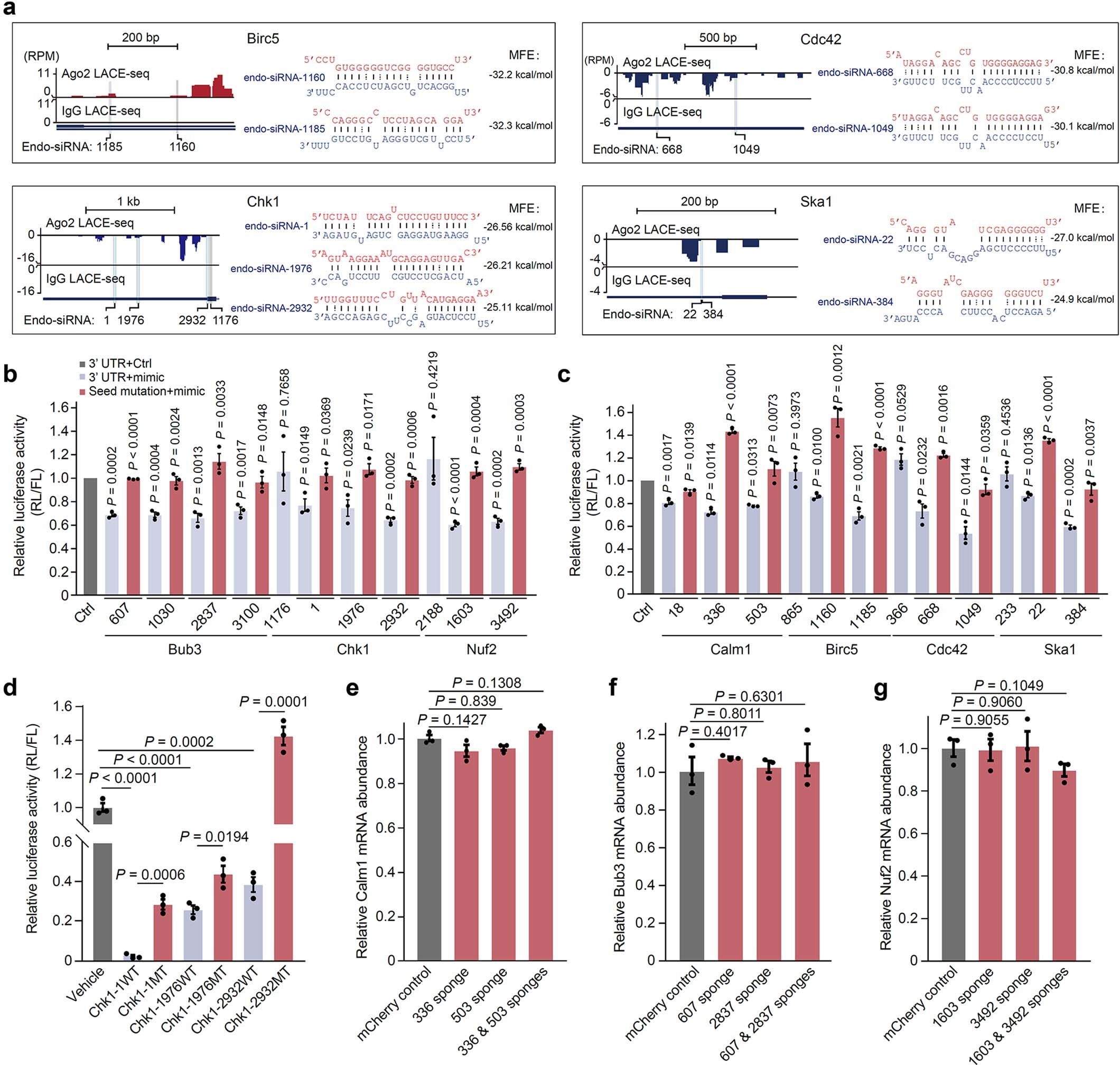 Extended Data Fig. 8: Validation of functional endo-siRNA target sites in HEK293 cells.