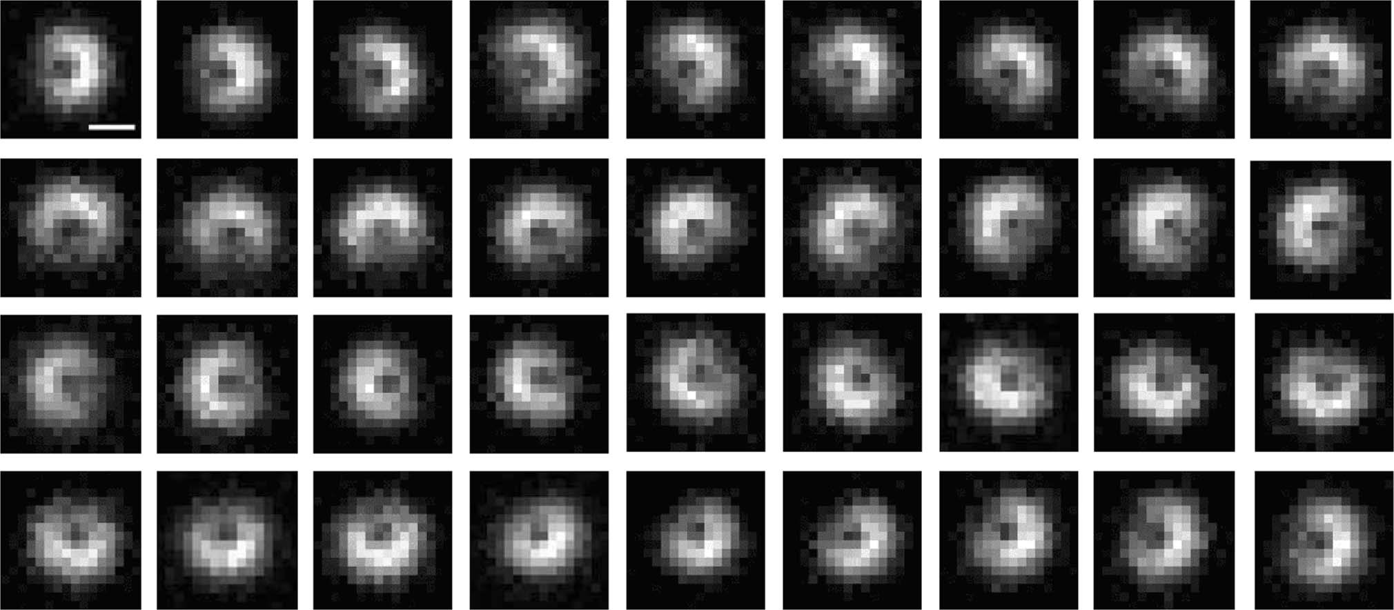 Extended Data Fig. 2
