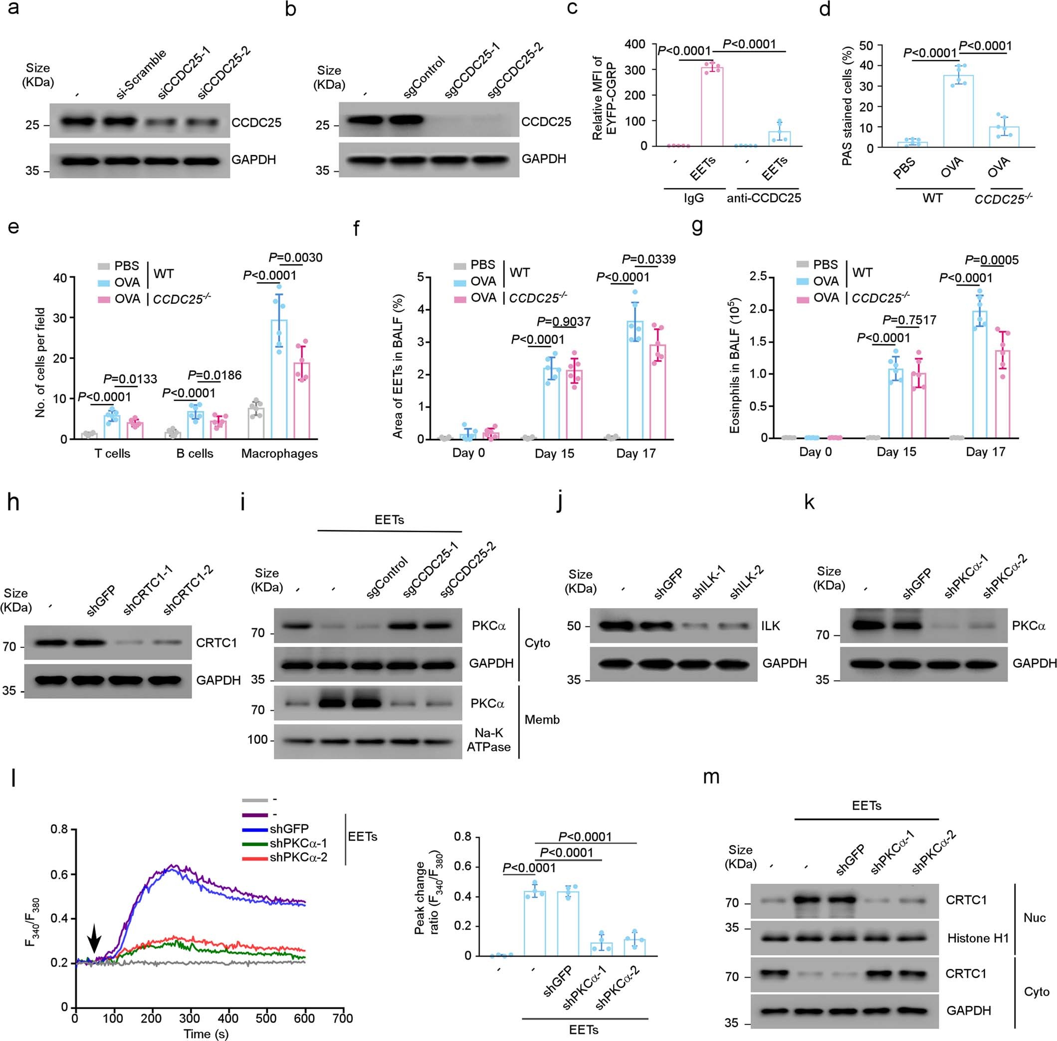 Extended Data Fig. 6