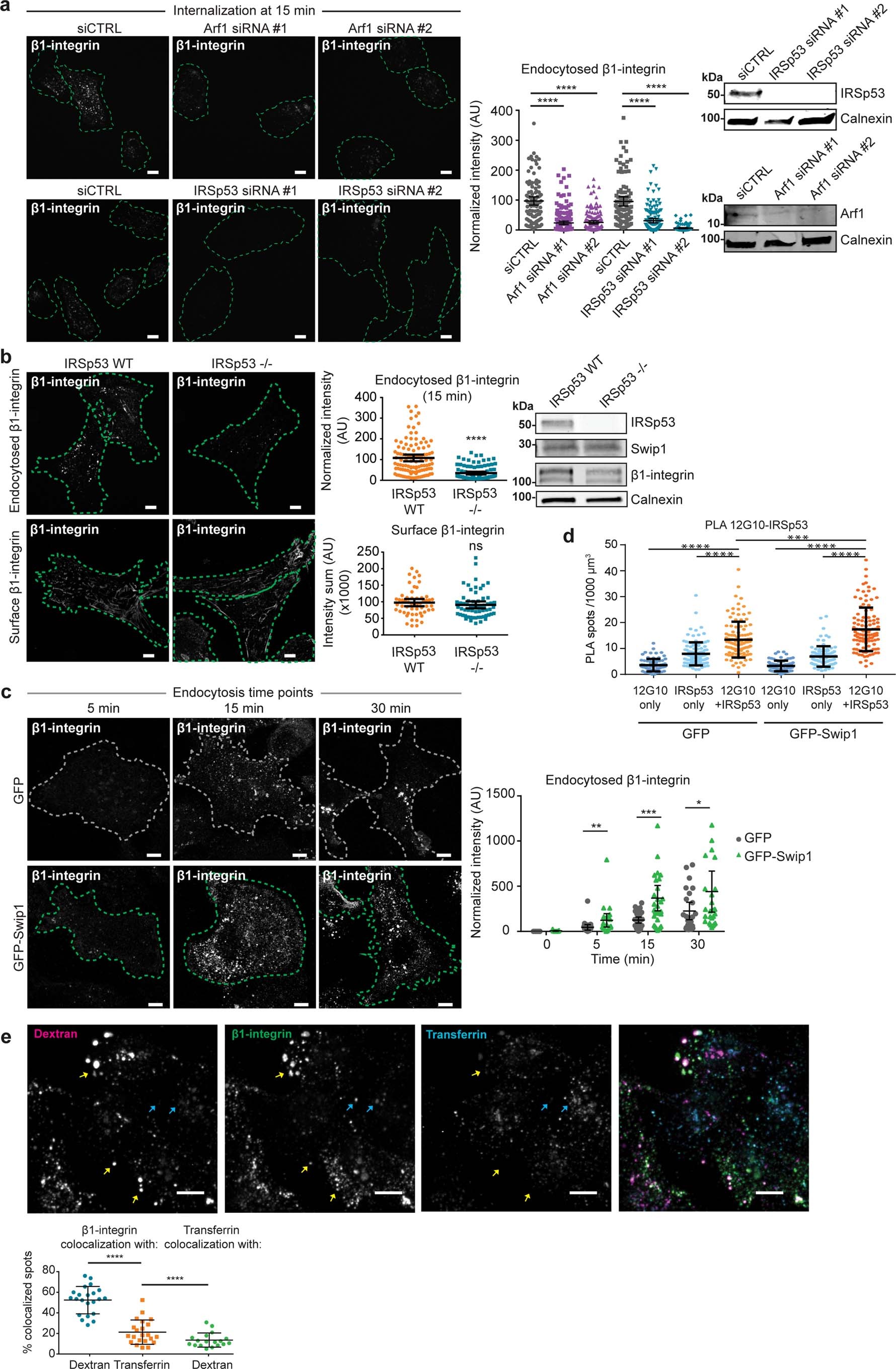 Extended Data Fig. 5