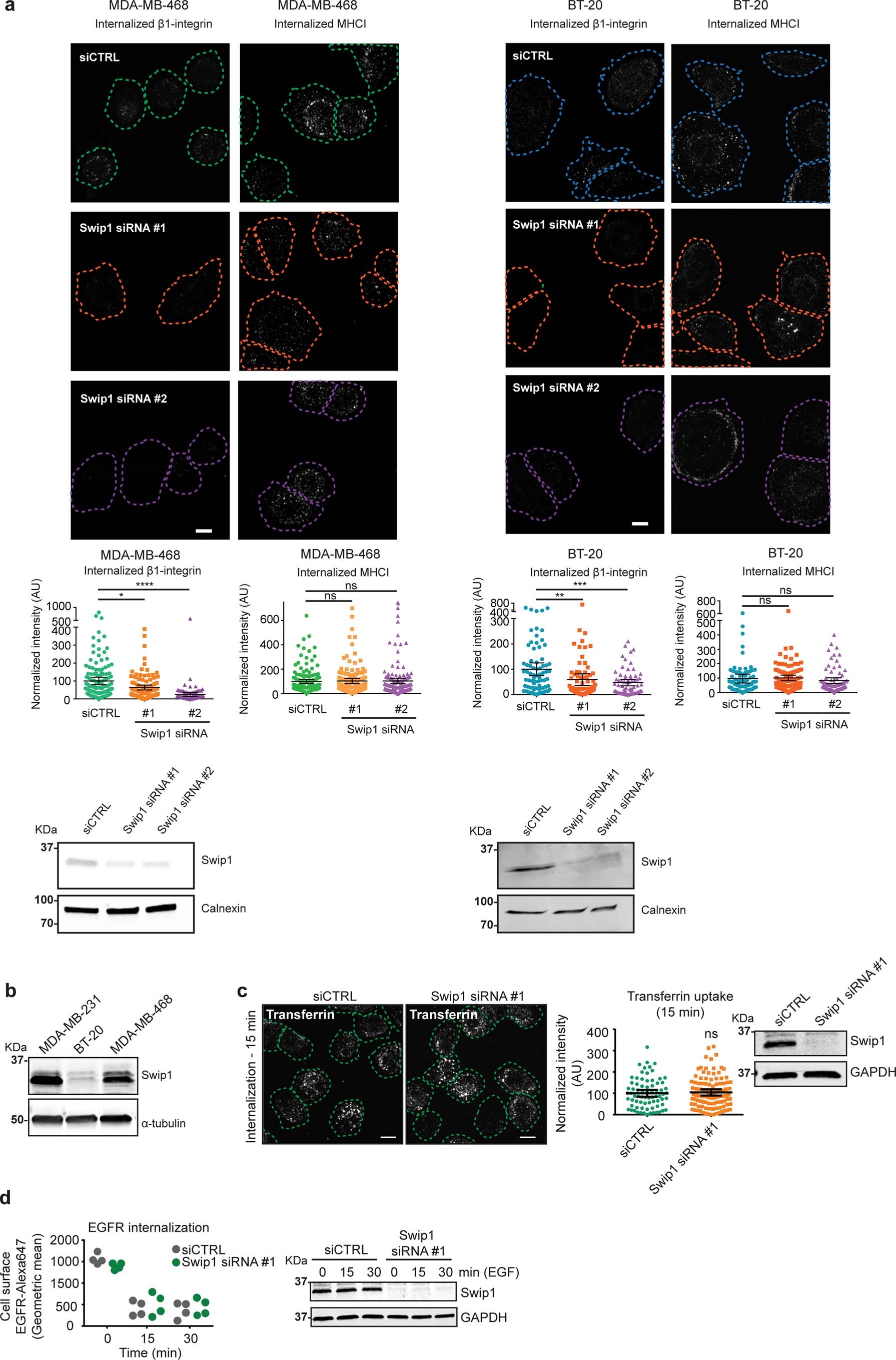 Extended Data Fig. 6