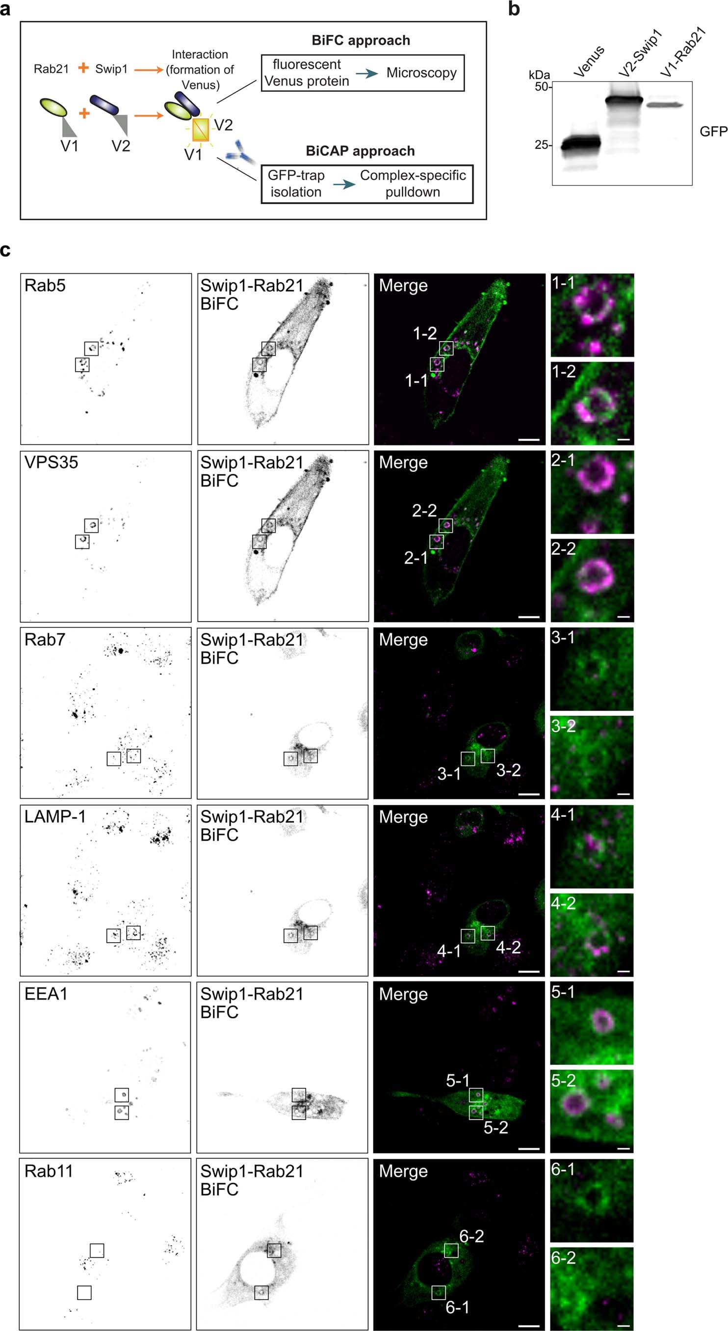 Extended Data Fig. 2