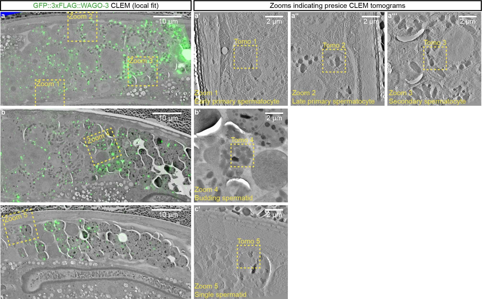 Extended Data Fig. 9