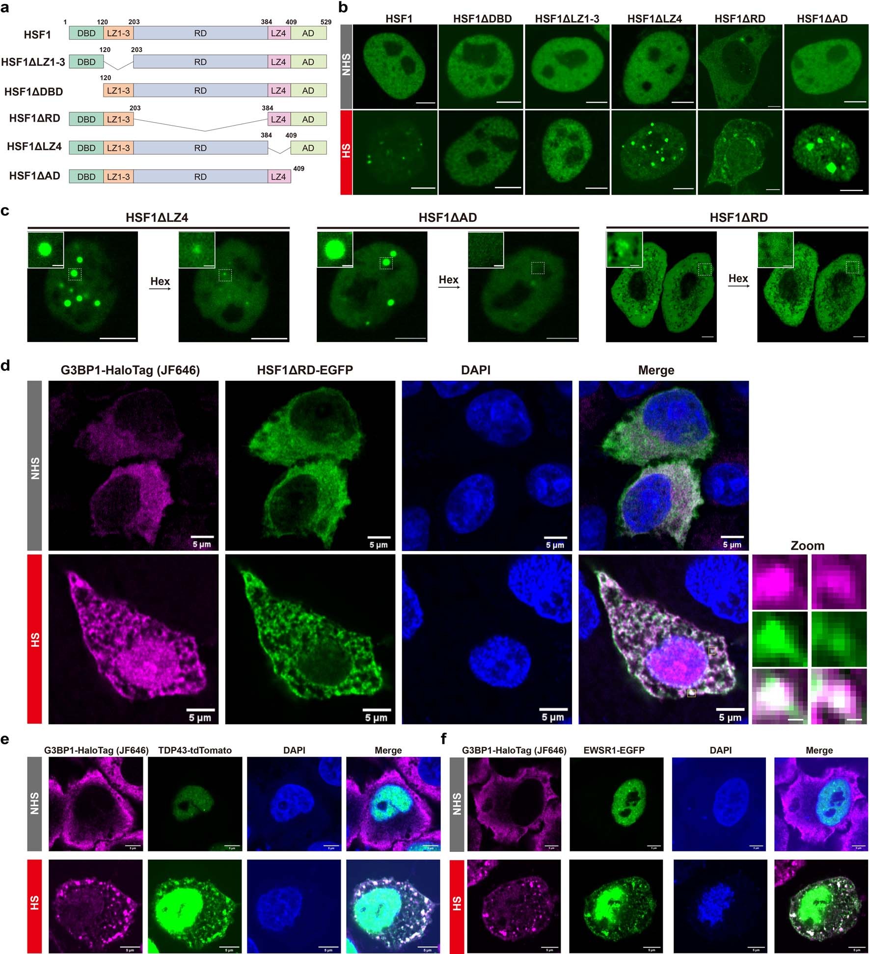 Extended Data Fig. 4