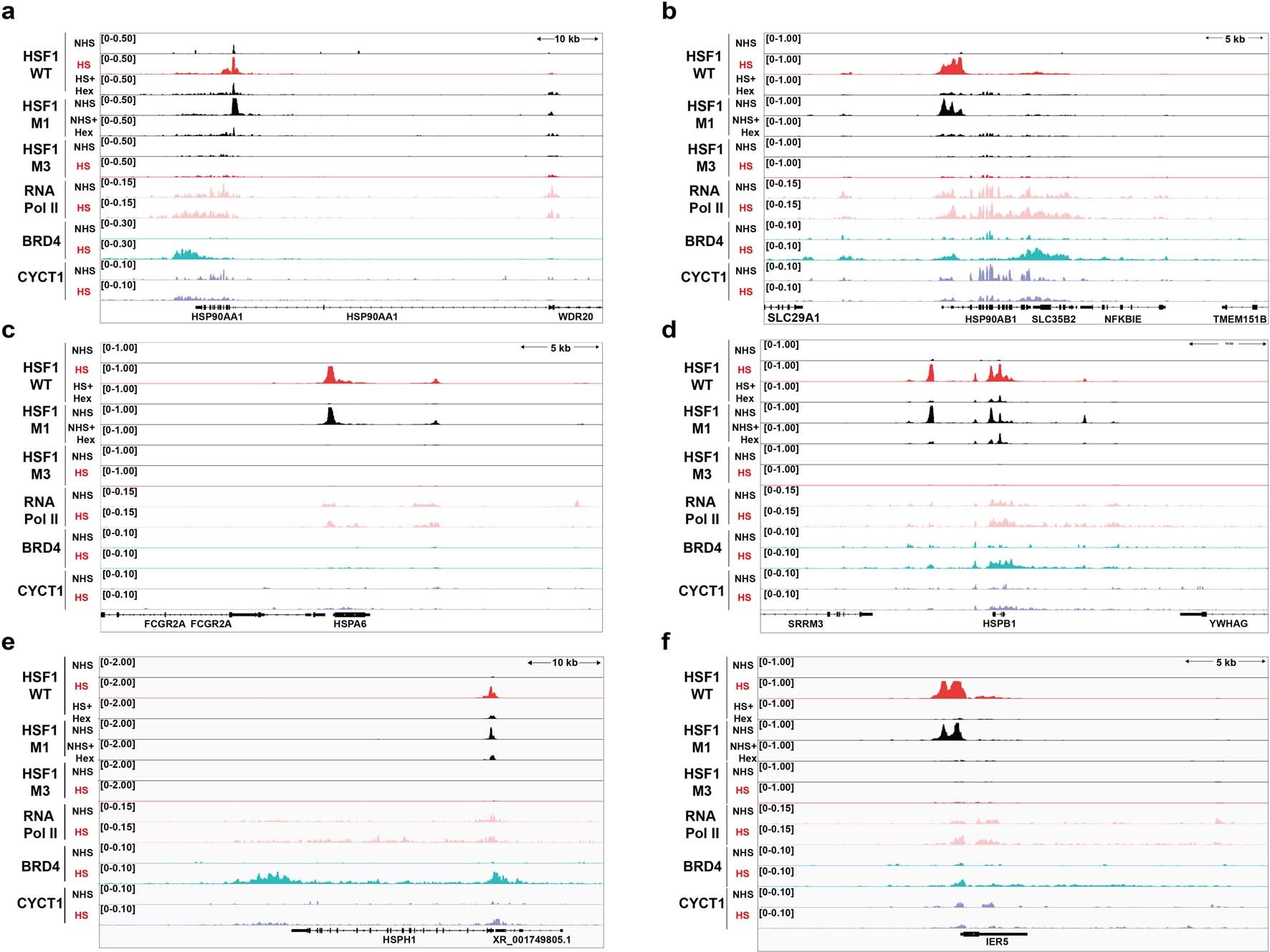 Extended Data Fig. 6