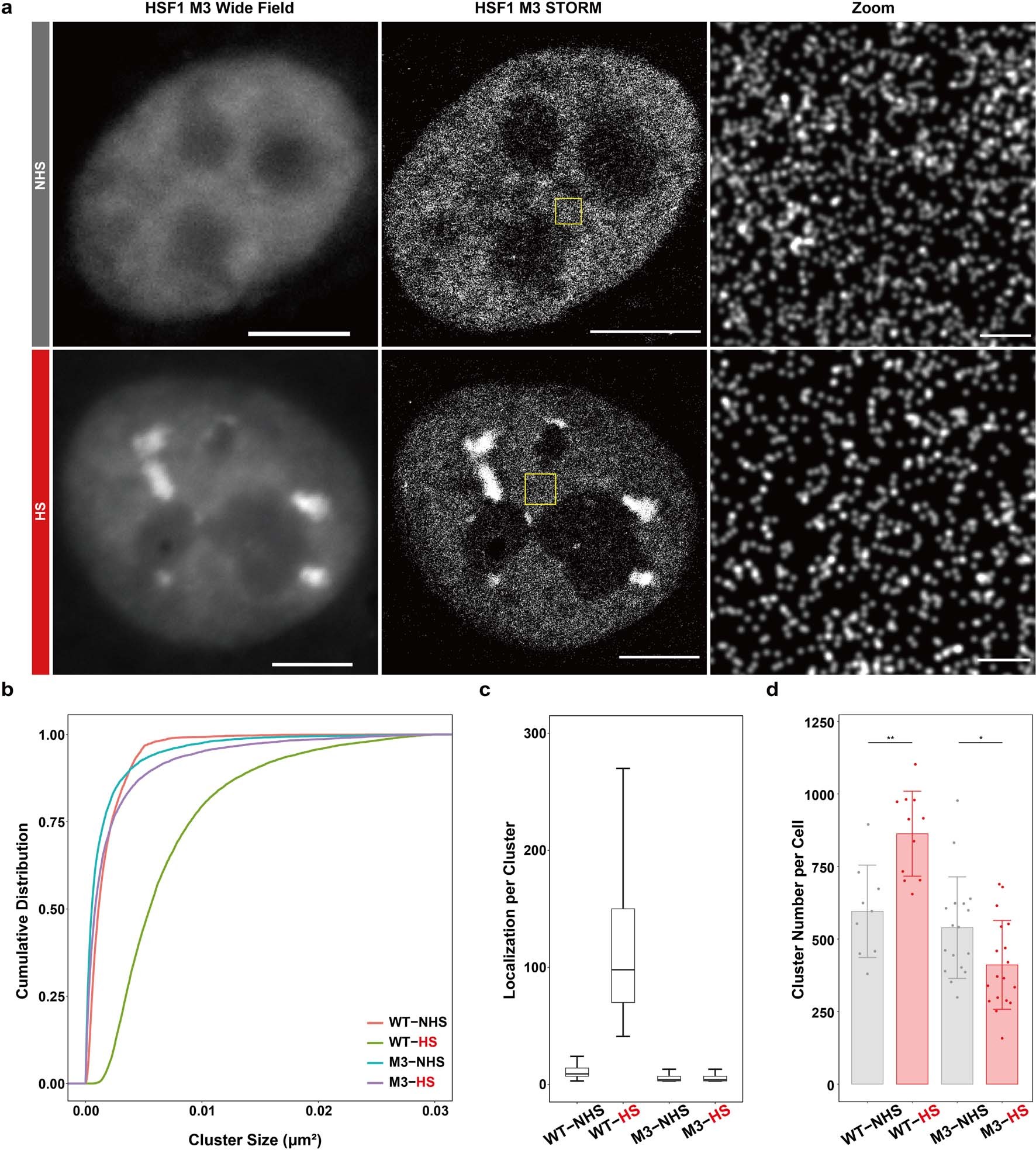 Extended Data Fig. 7