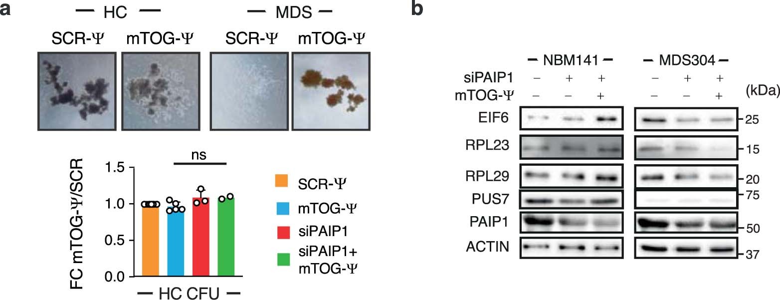 Extended Data Fig. 8