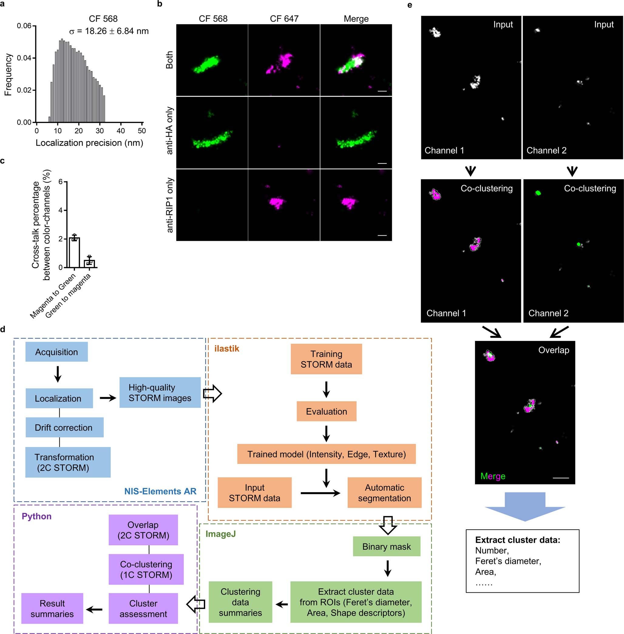Extended Data Fig. 4: Analysis of two-color STORM images.