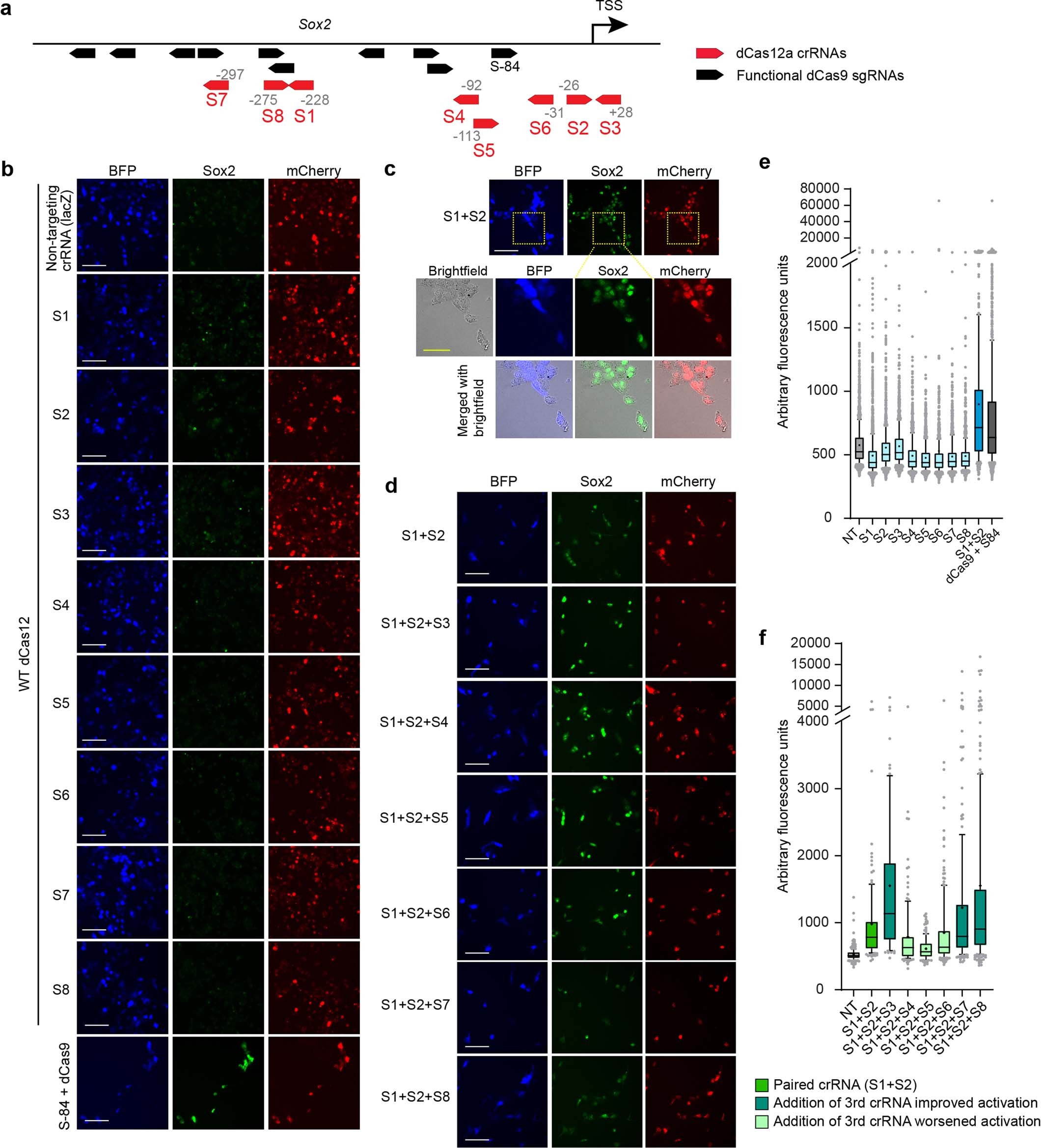 Extended Data Fig. 6