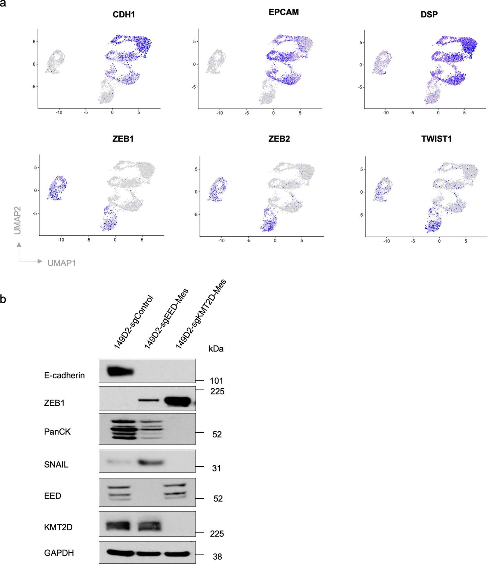 Extended Data Fig. 5
