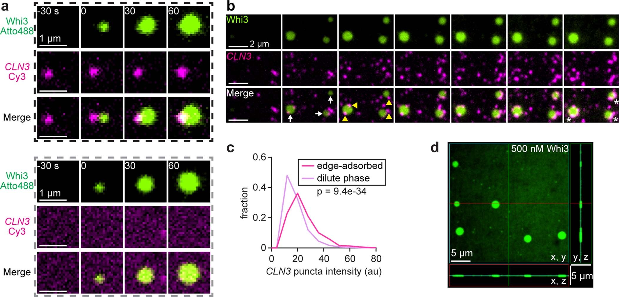 Extended Data Fig. 5