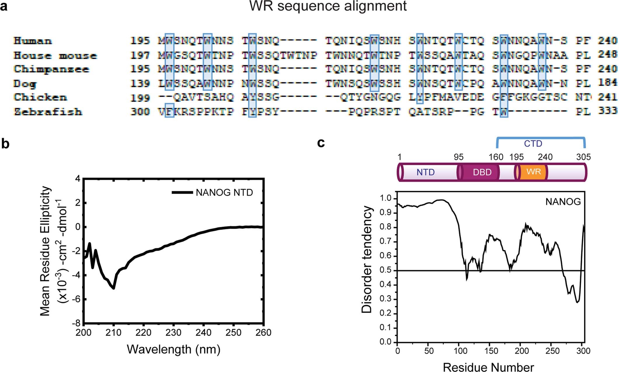 Extended Data Fig. 1: NANOG NTD and CTD characterization.