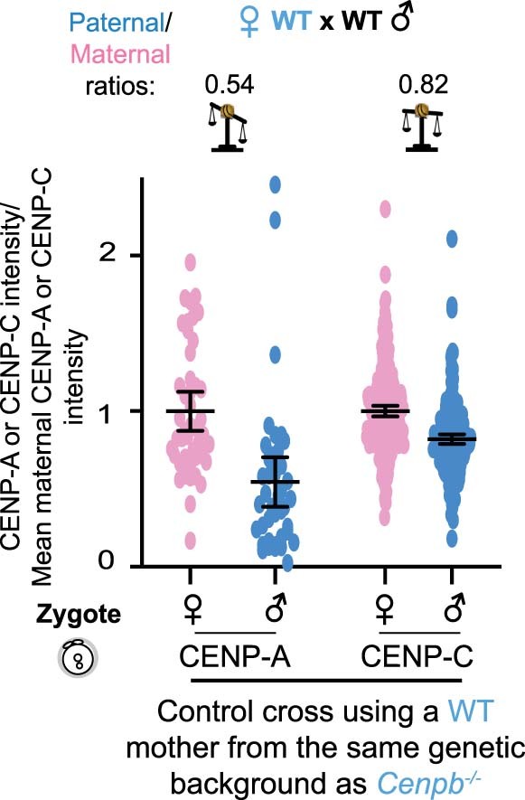 Extended Data Fig. 9