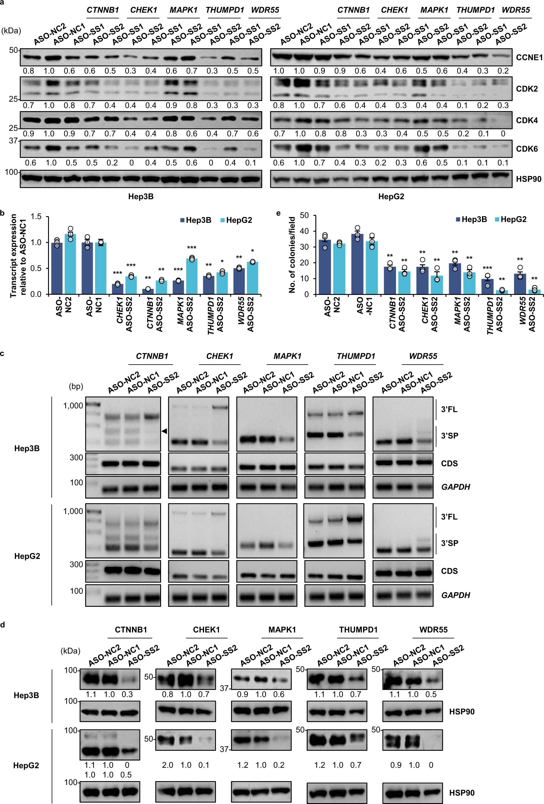 Extended Data Fig. 4