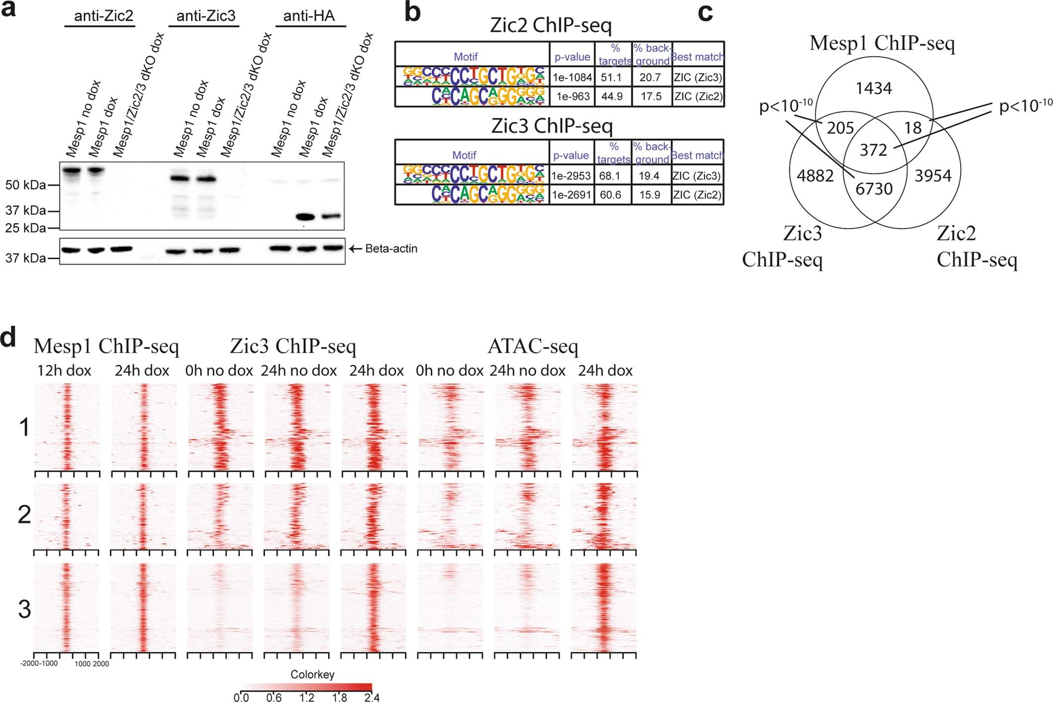 Extended Data Fig. 6