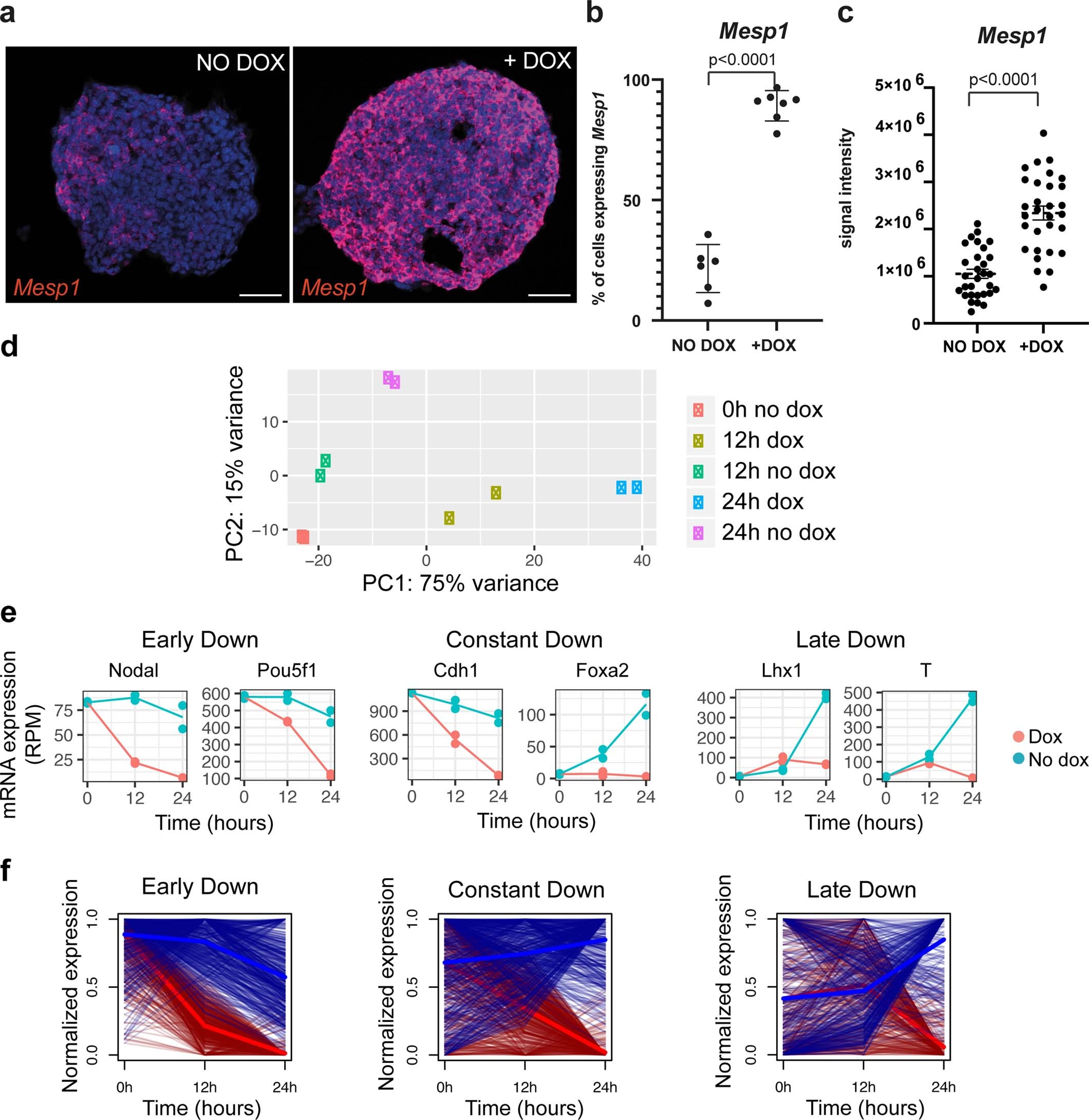 Extended Data Fig. 1
